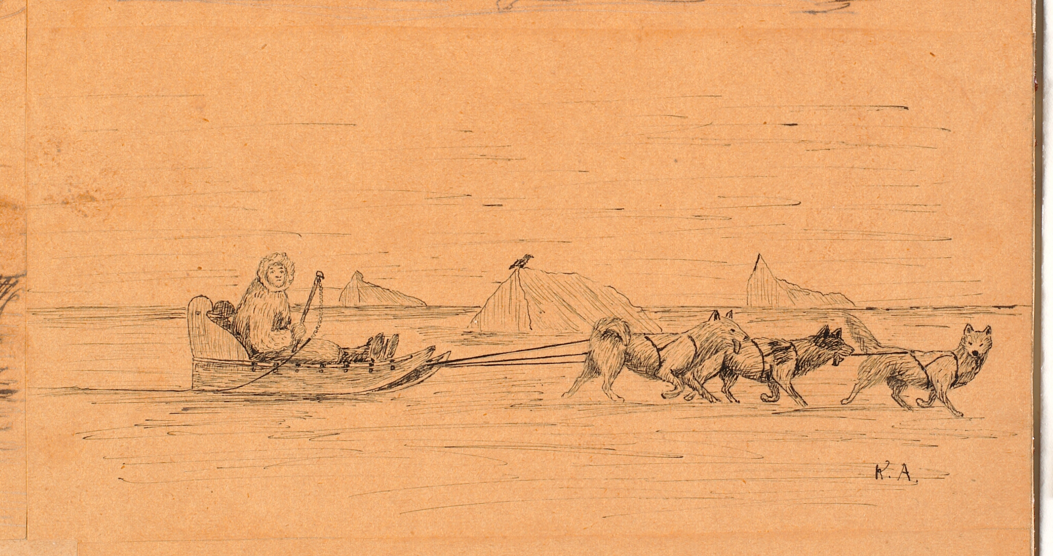 Slædekørsel mellem isfjelde