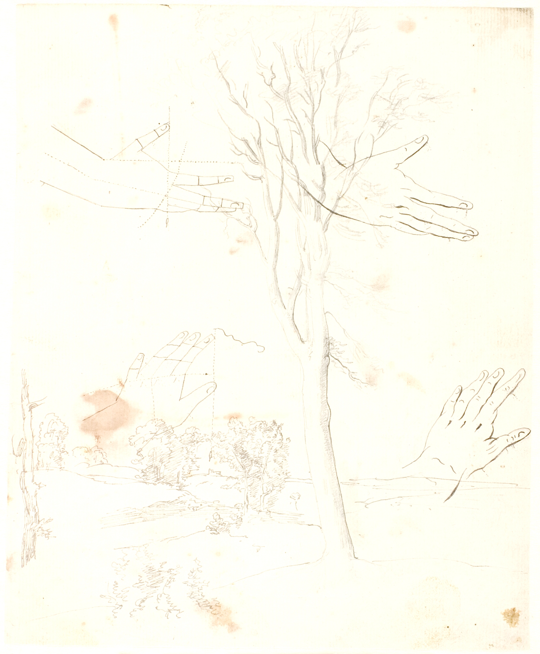 Udsigt over et lanskab i forgrunden et højt træ