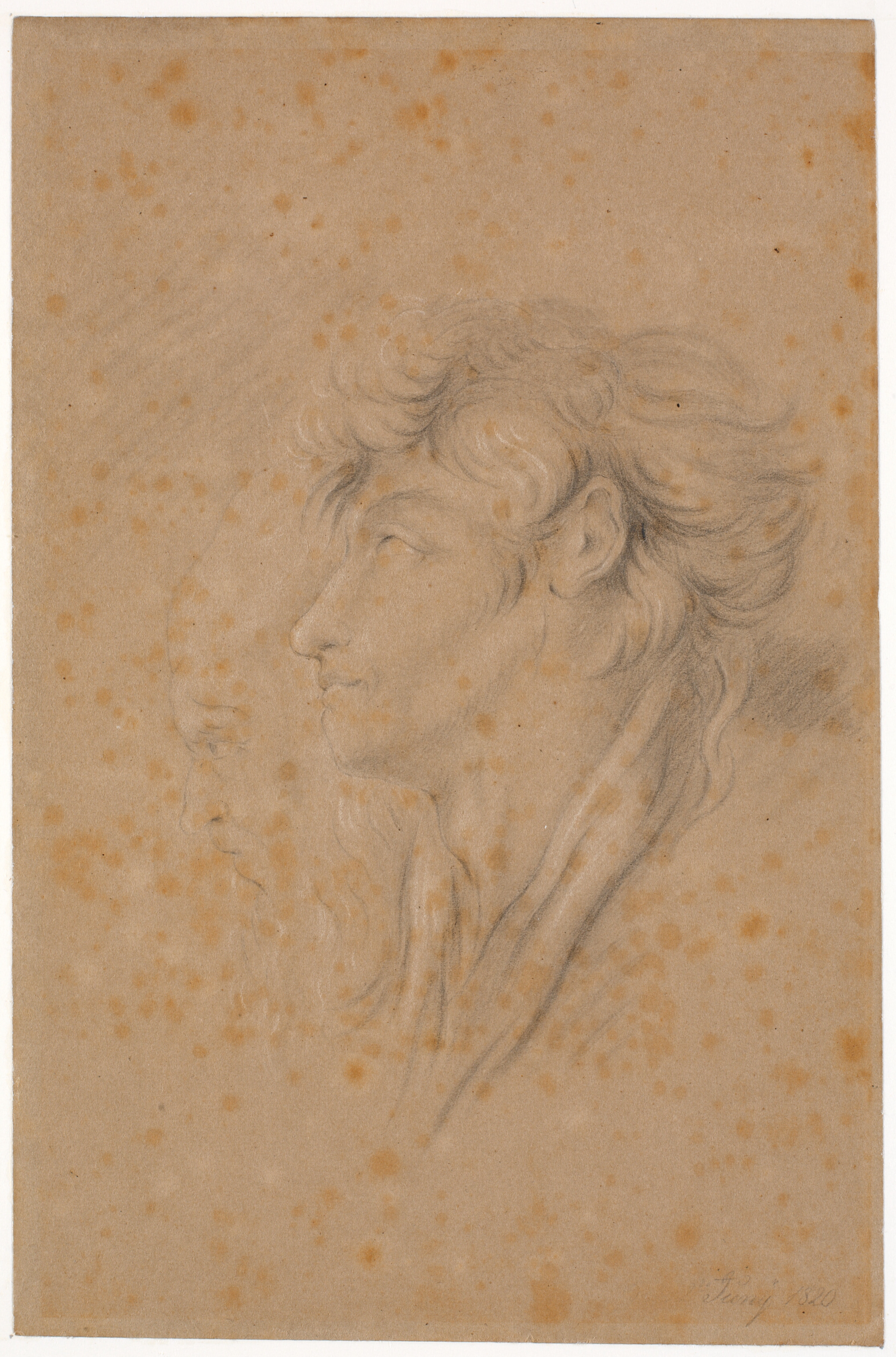 Studie af en yngling og en skægget oldings hoveder i profil mod venstre