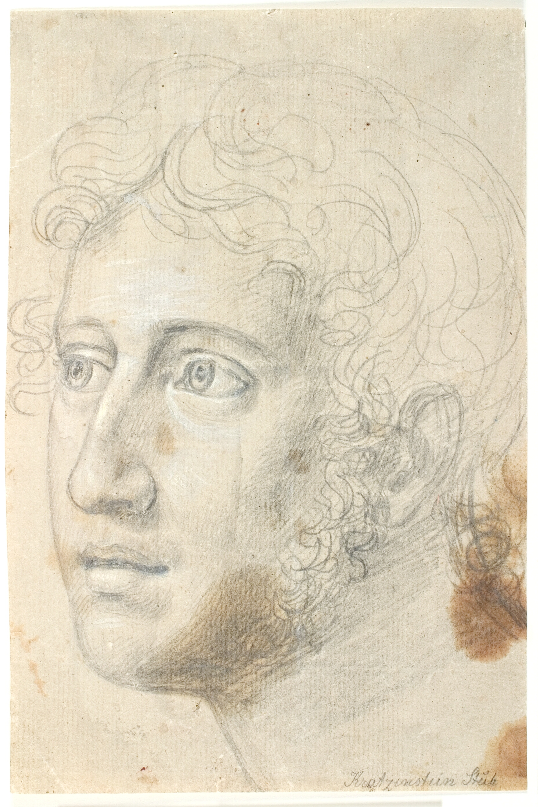 Studiehoved af Hother