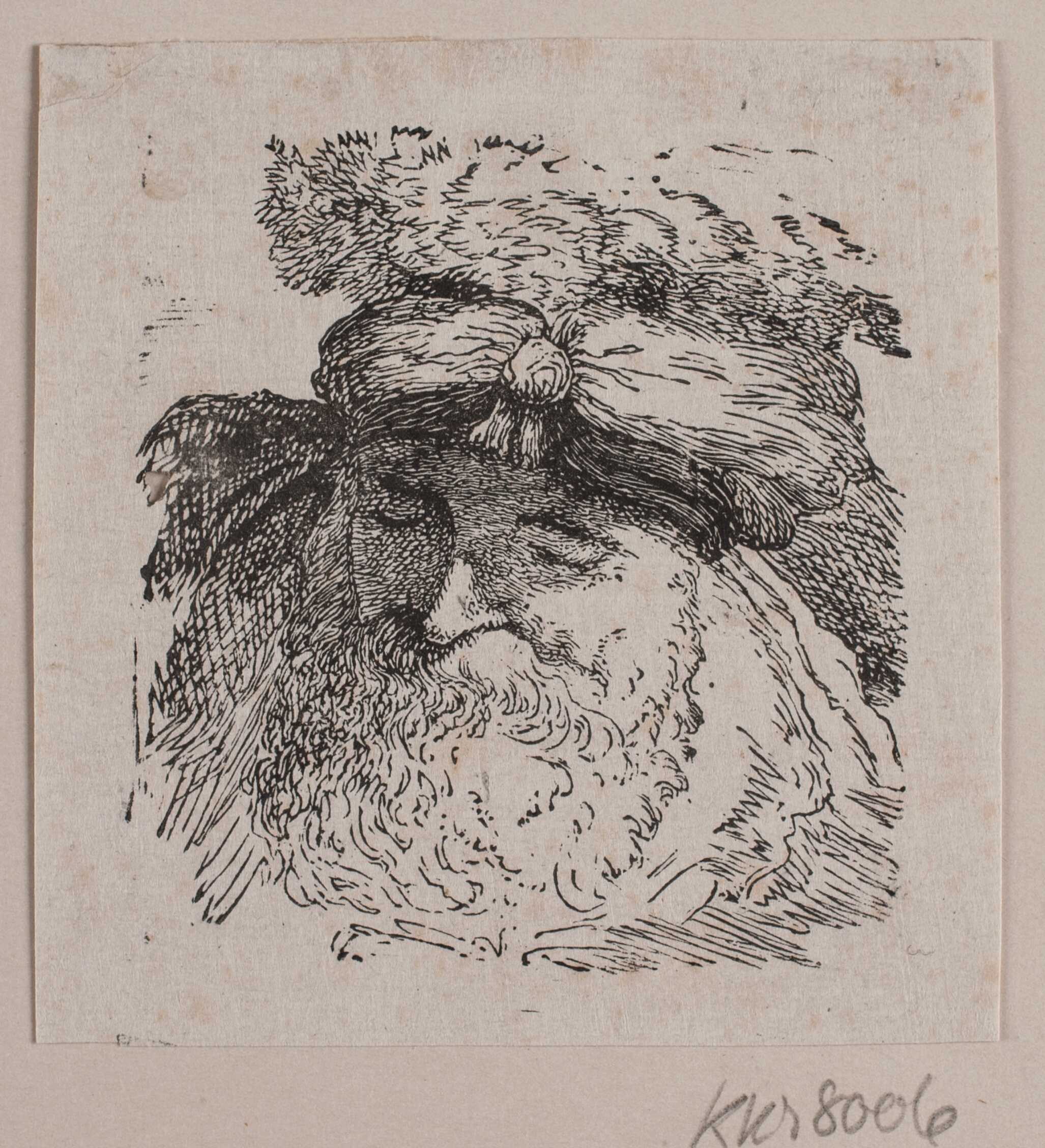 Hoved af en mand med pelshue