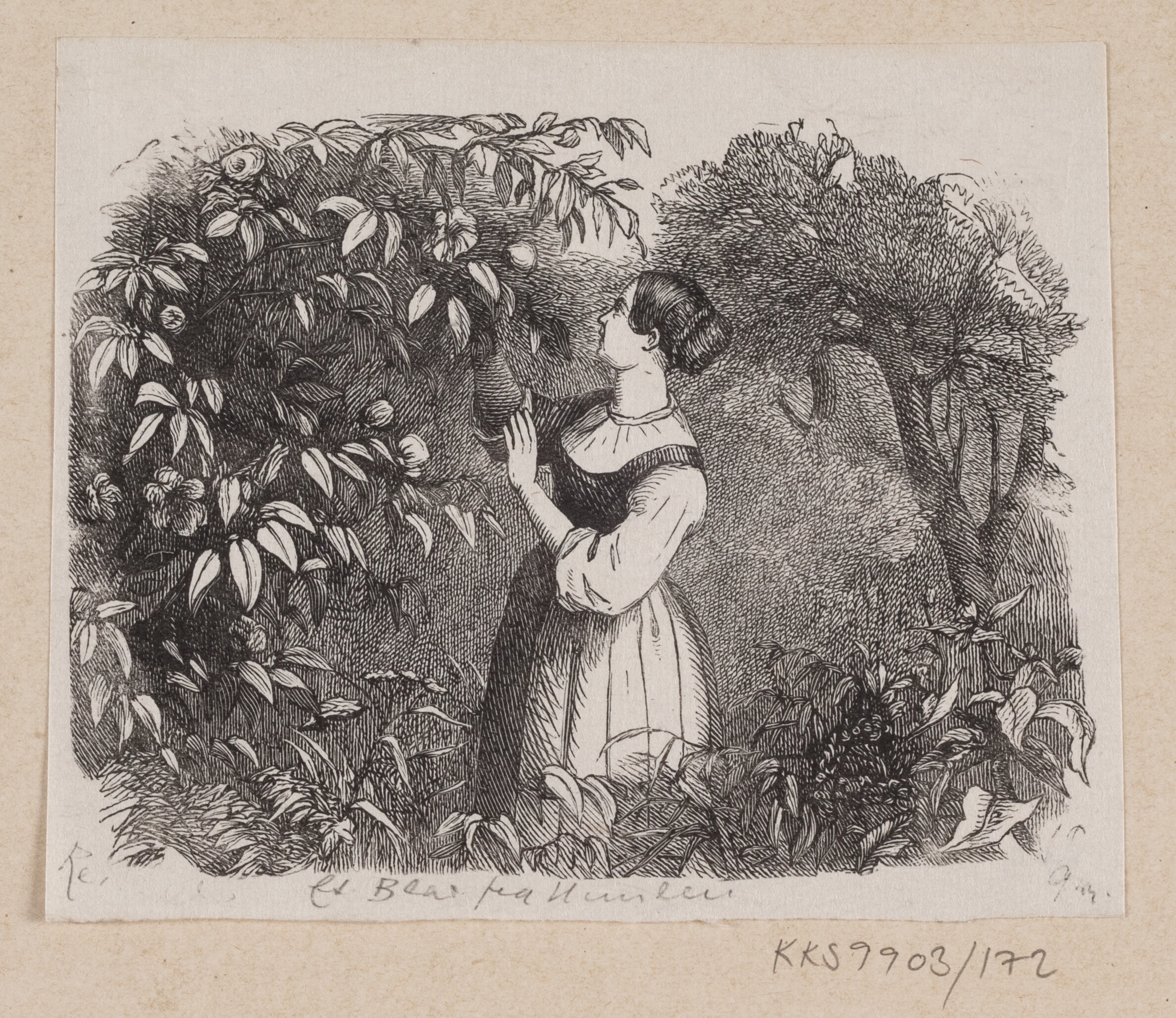 Illustration til "Et Blad fra Himlen" i H.C. Andersen, "Eventyr og Historier", Bind 2