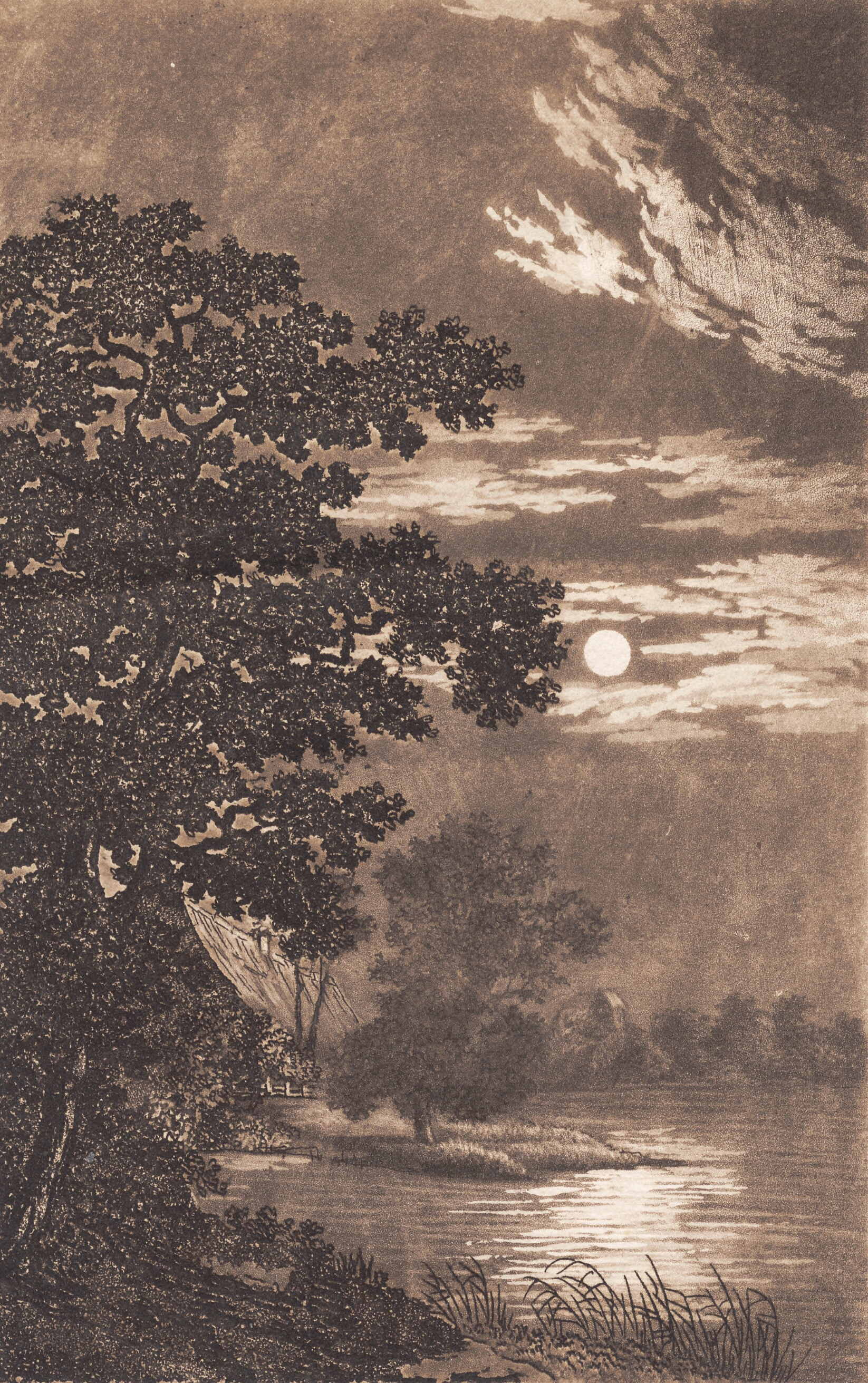 Måneskin over en sø