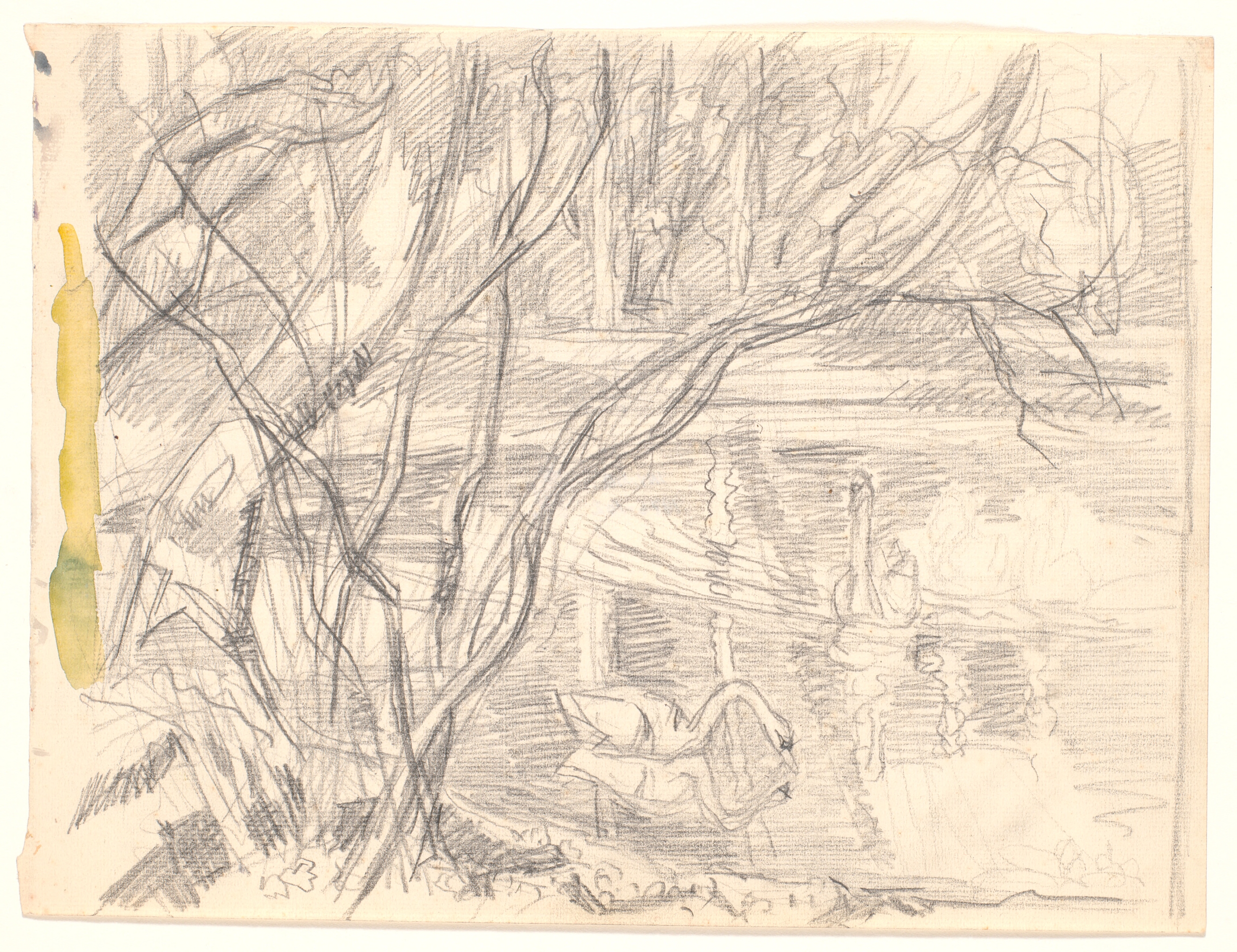 En sø med fire svaner