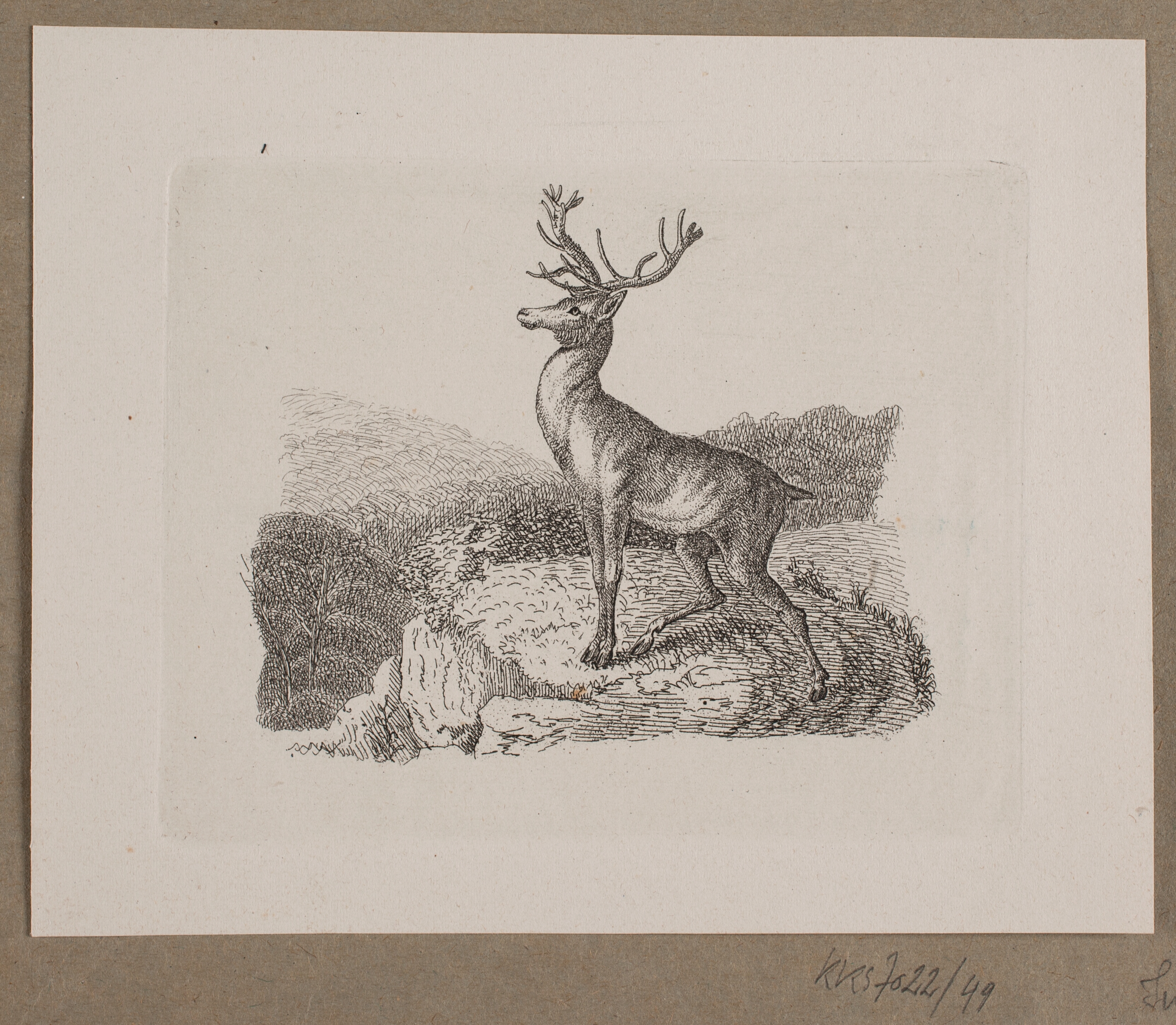 Illustration til O. Specter, "Fabler for Børn"