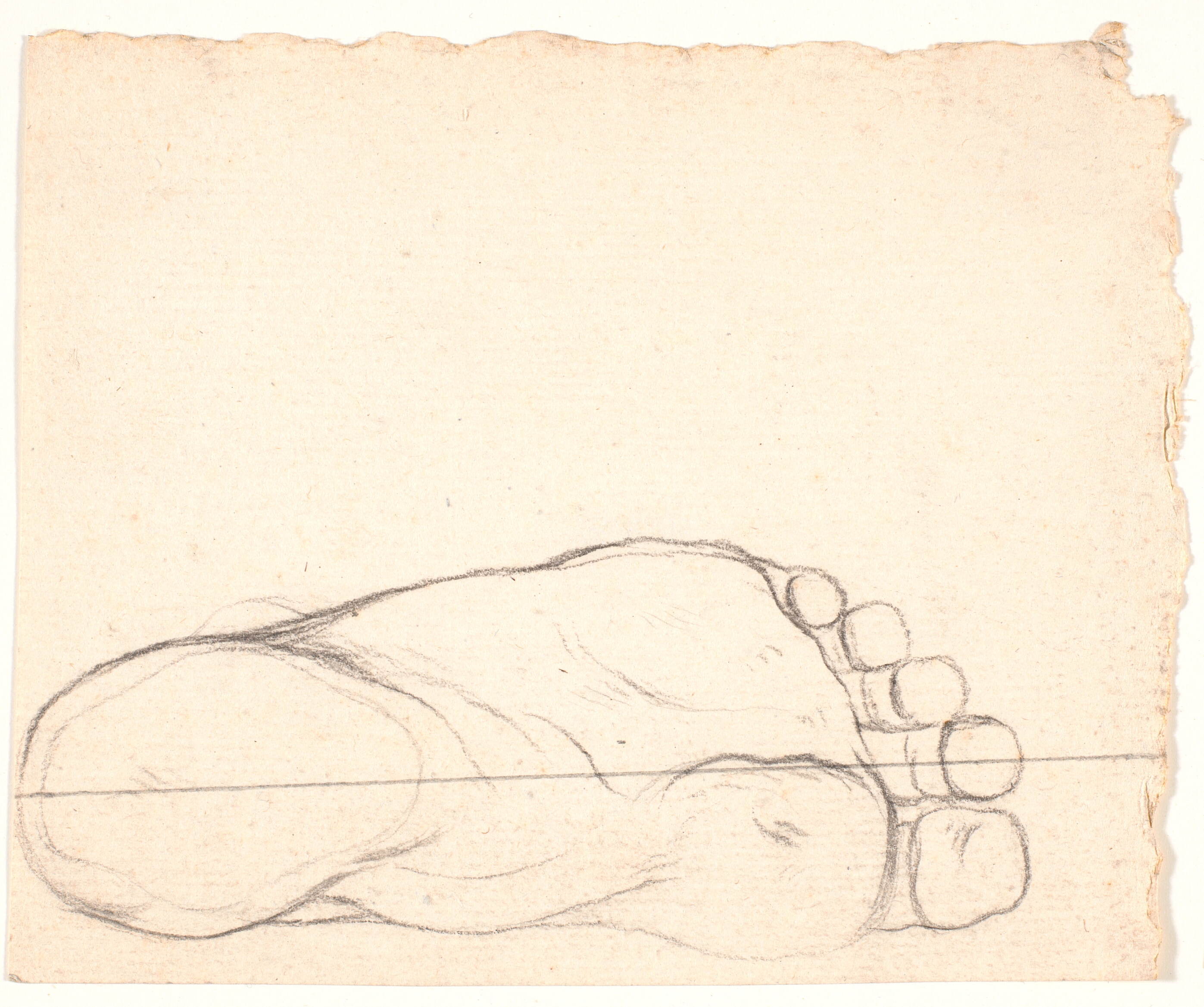 Skitse af en fod set fra neden. Hælen t.v.