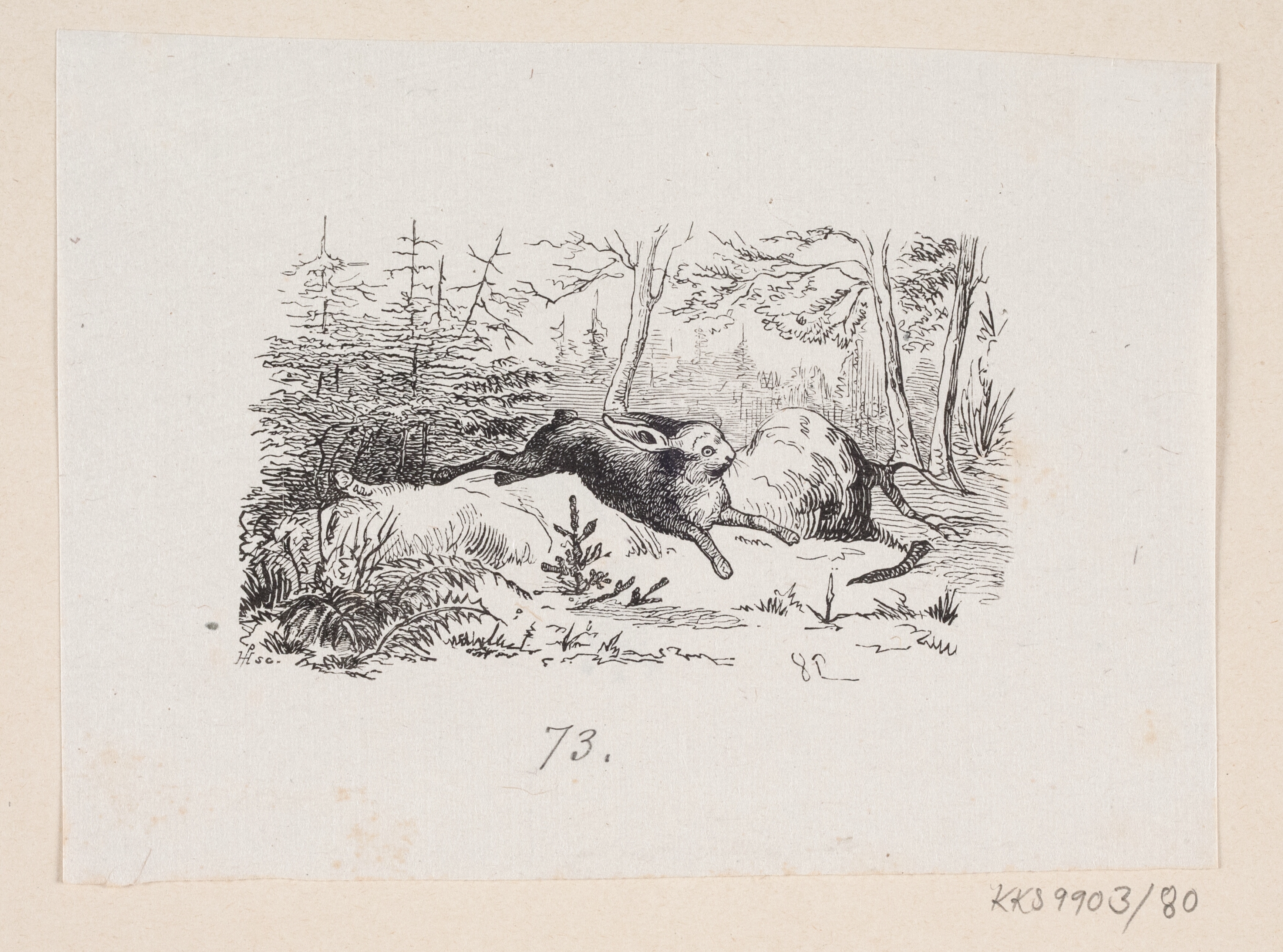 Illustration til "Grantræet" i H.C. Andersen, "Eventyr og Historier", Bind 1