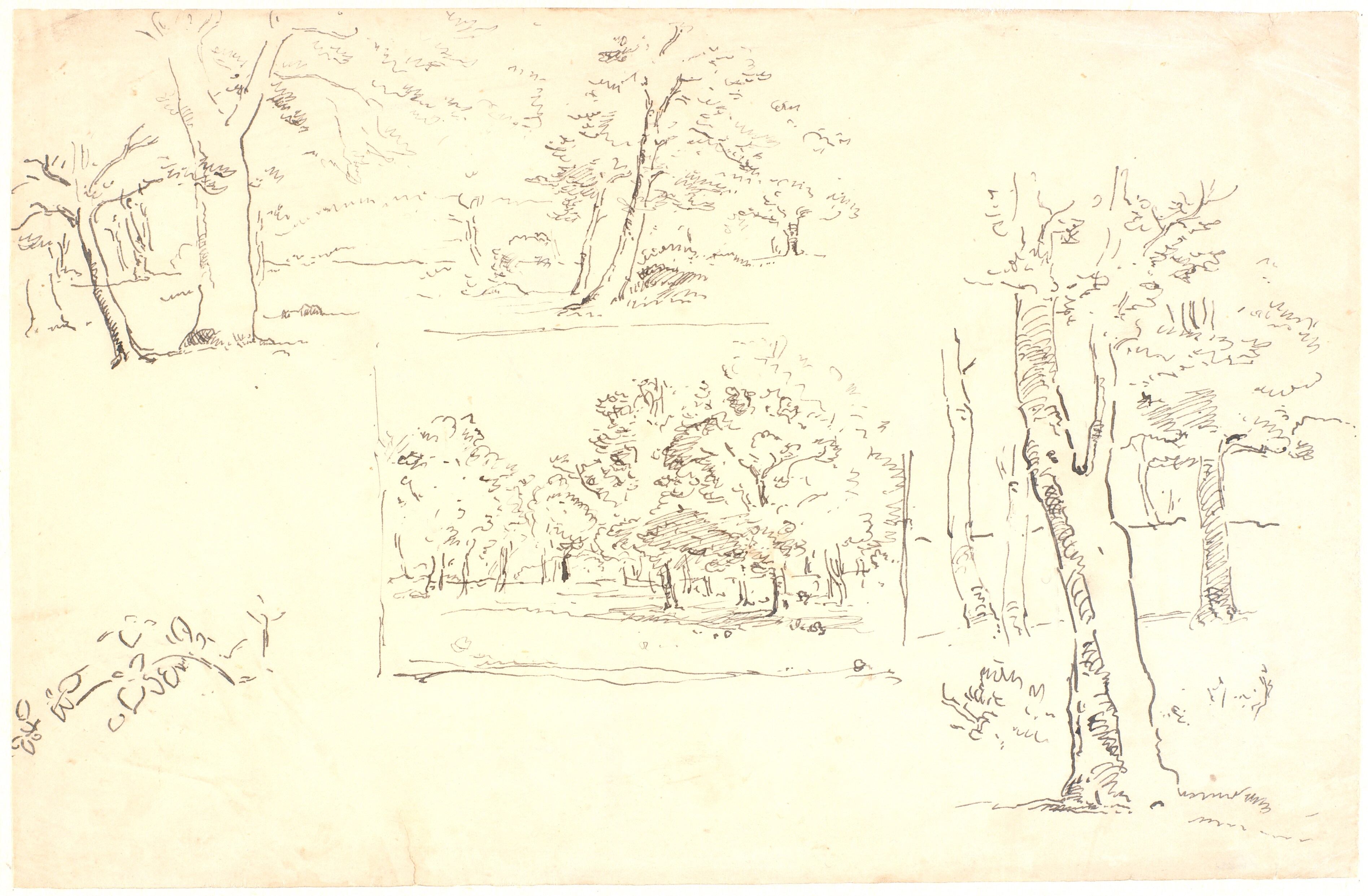 Udkast til et skovbillede samt forskellige træstudier