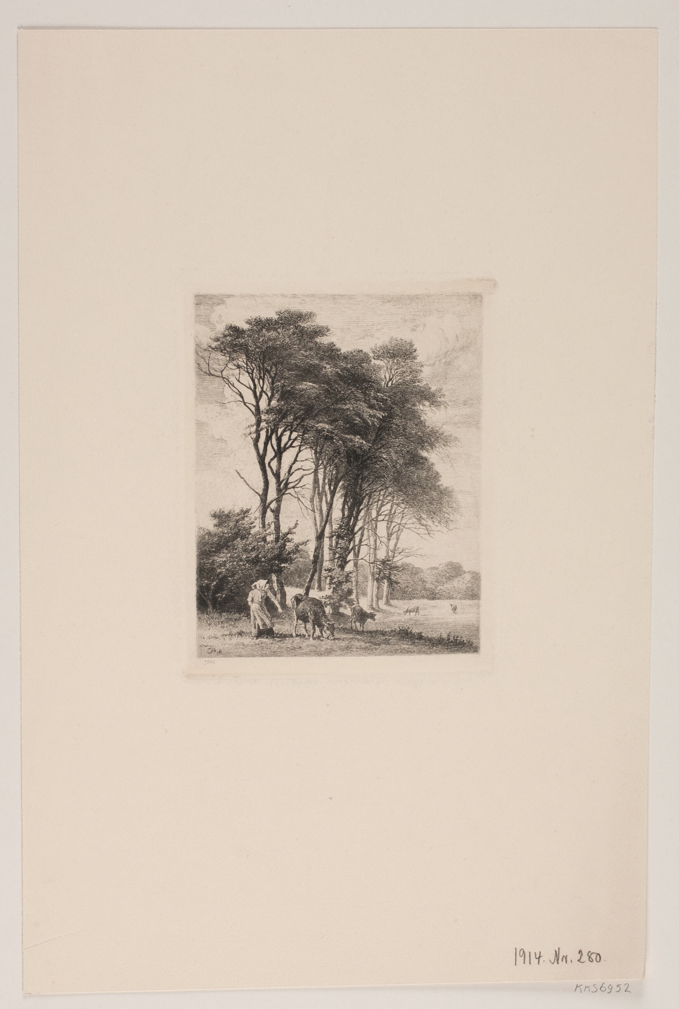 Landskab. Køer ved en skov