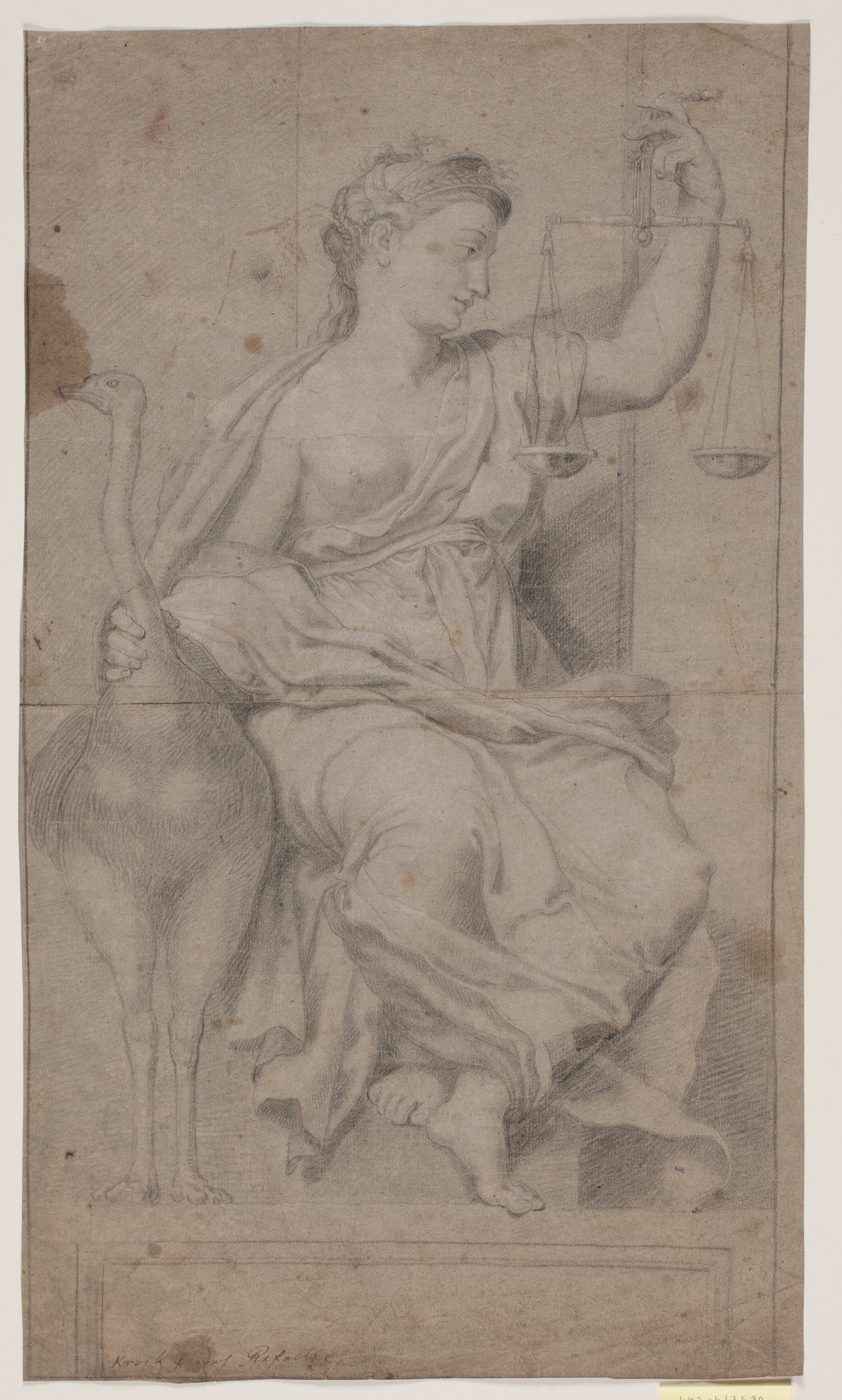 Elisa forøger enkens olie