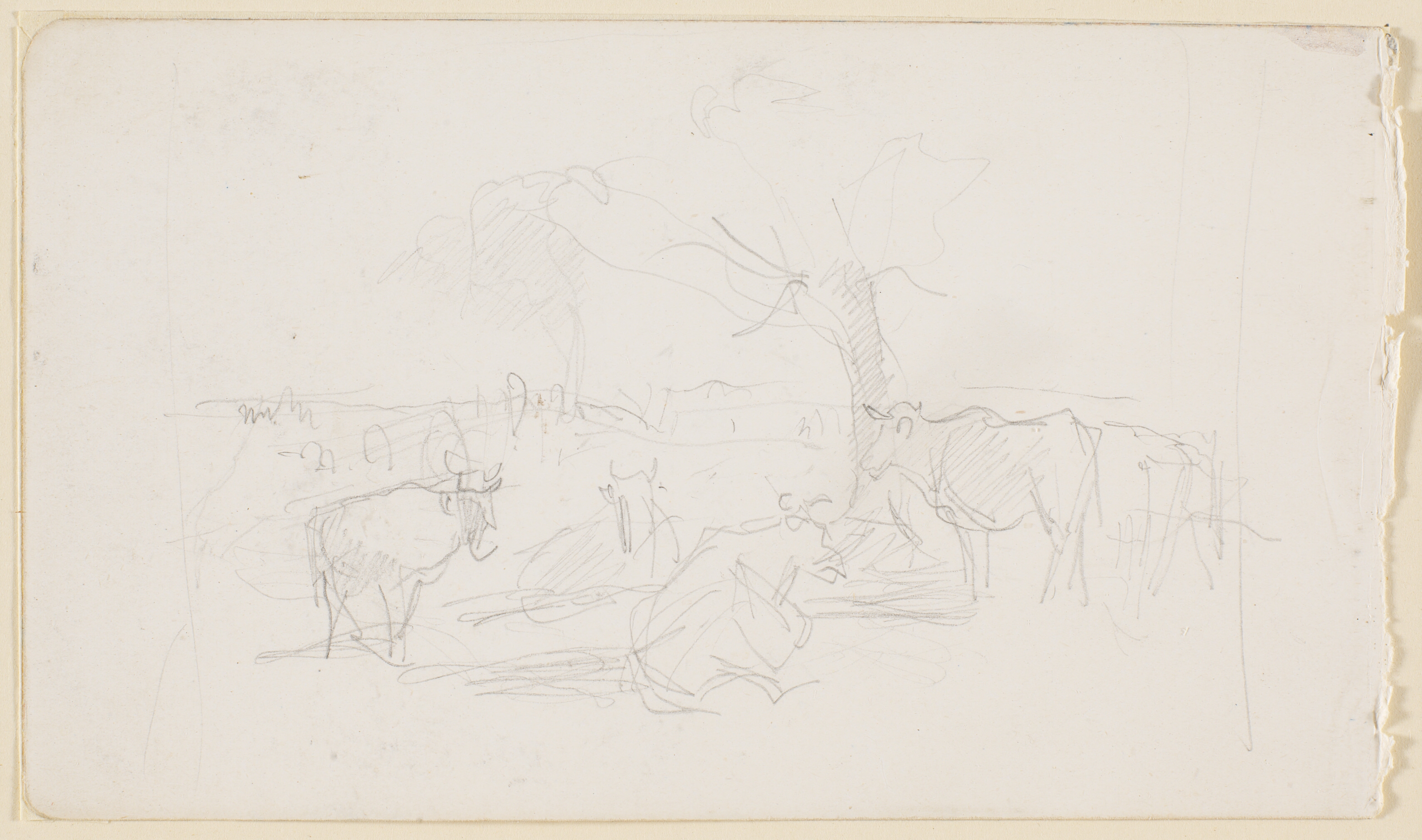 Malkepladsen ved Dyrehavegård