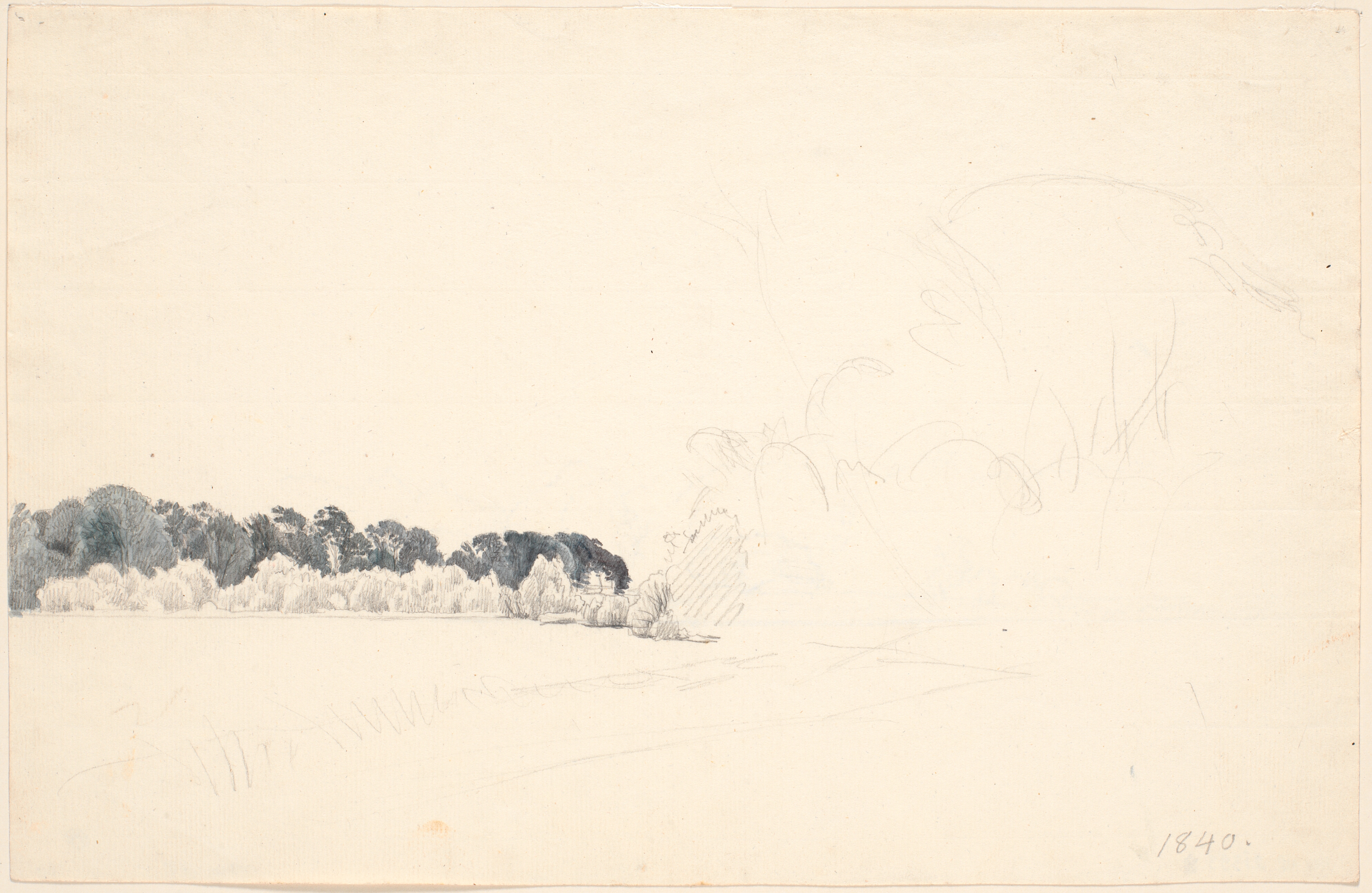 Studieblad. T.v. et skovbryn, t.h. blyantskrads (trækupler).