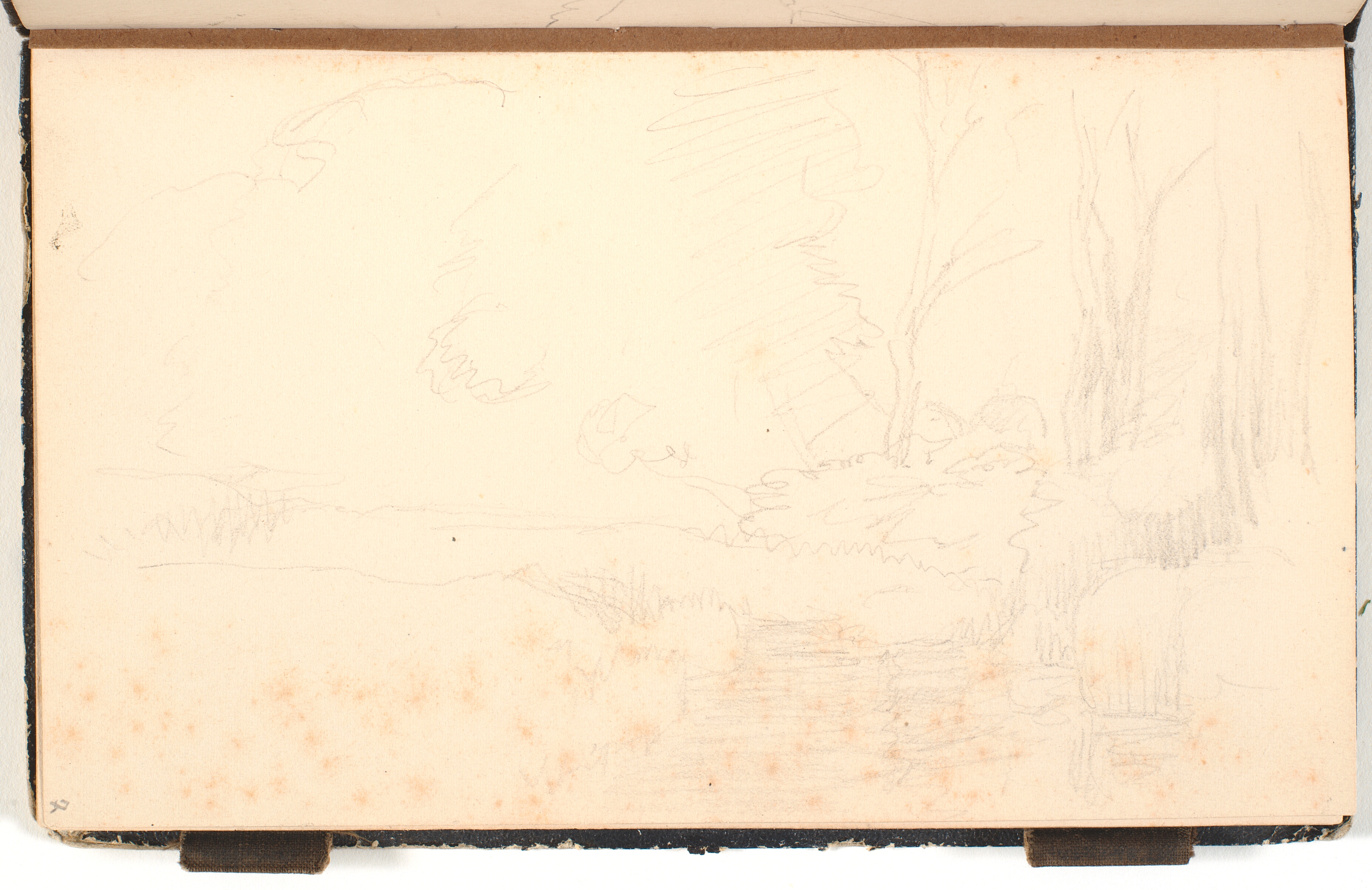 Søbred med høje træer