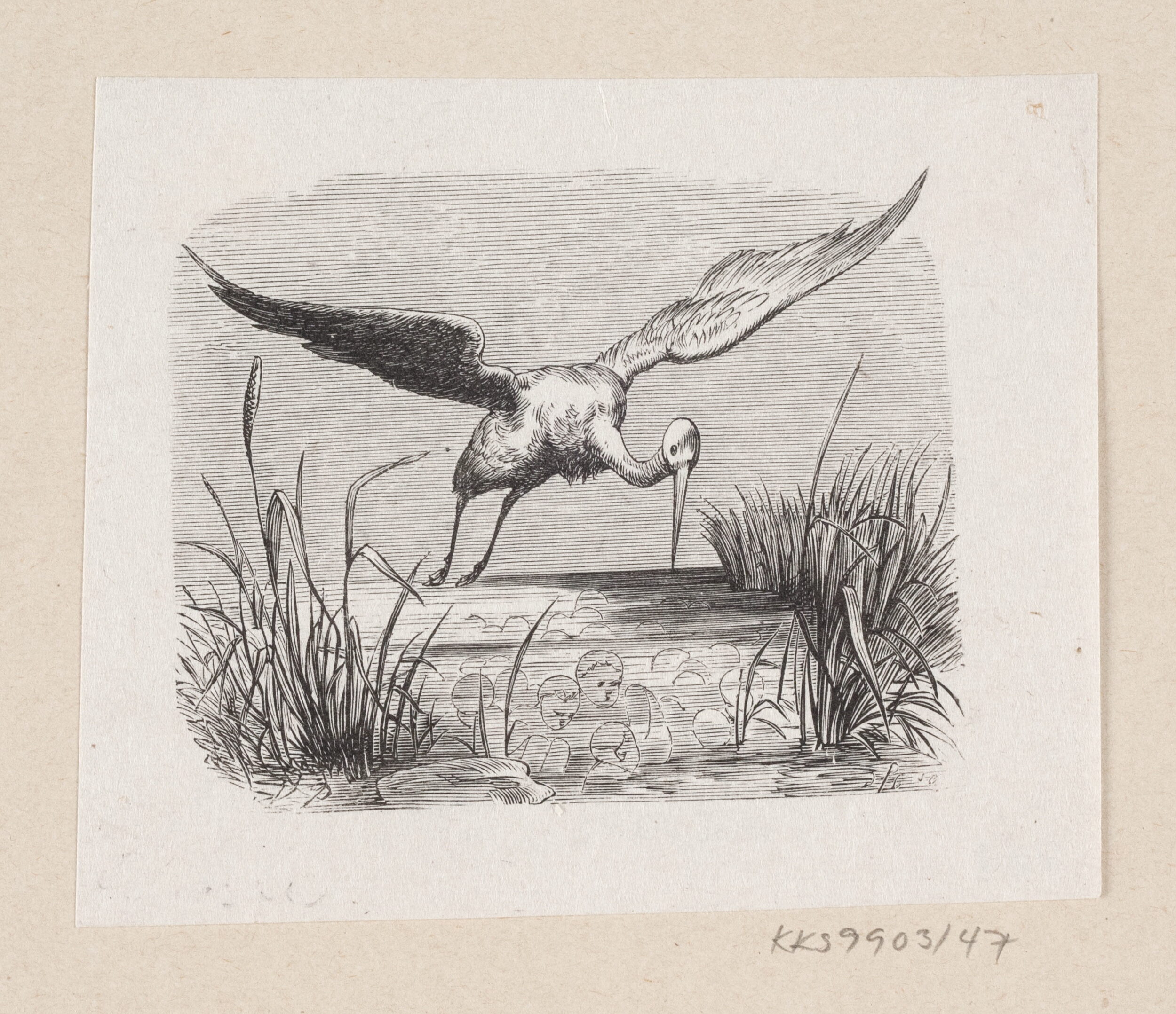 Illustration til "Storkene" i H.C. Andersen, "Eventyr og Historier", Bind 1