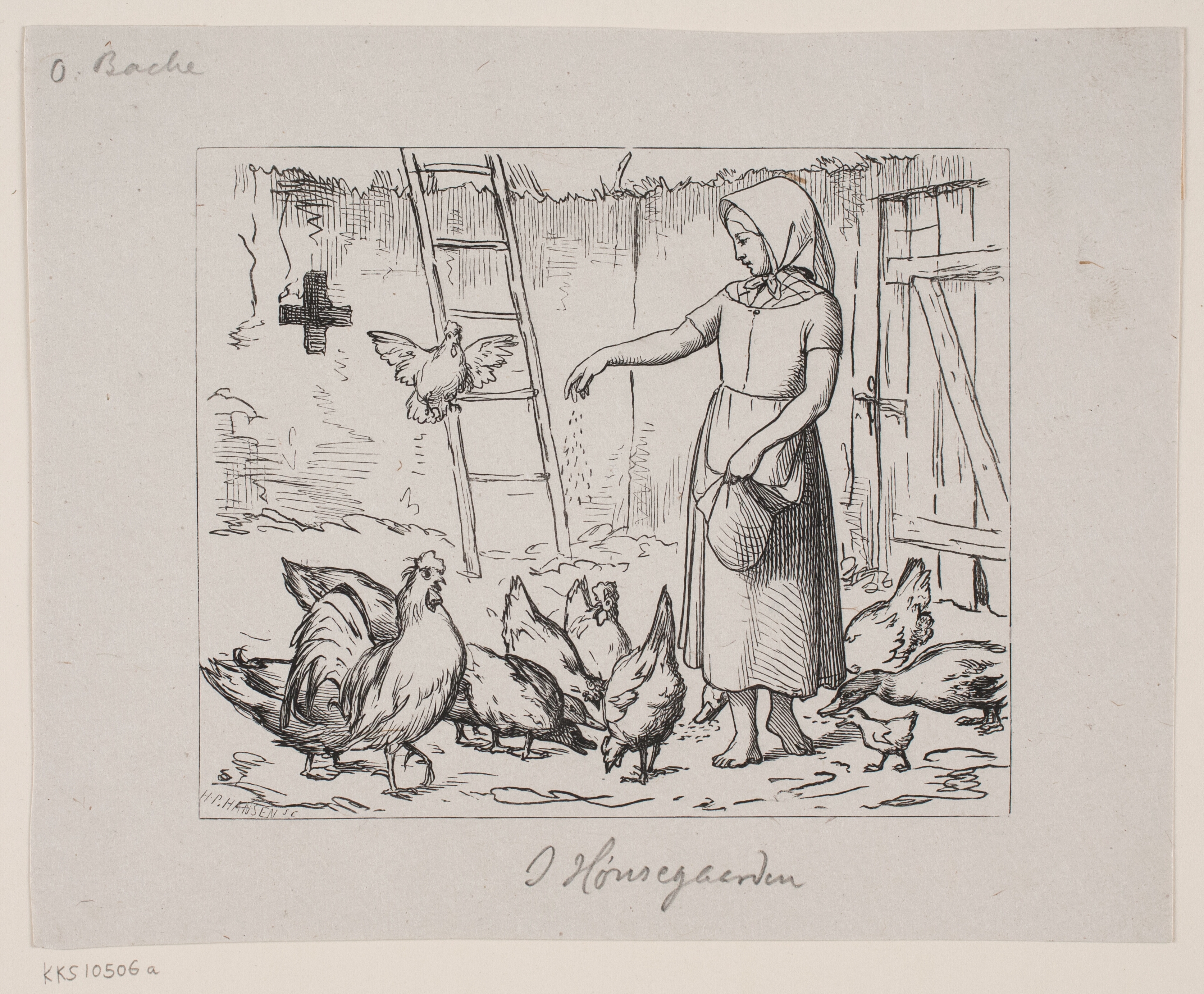 I Hønsegården