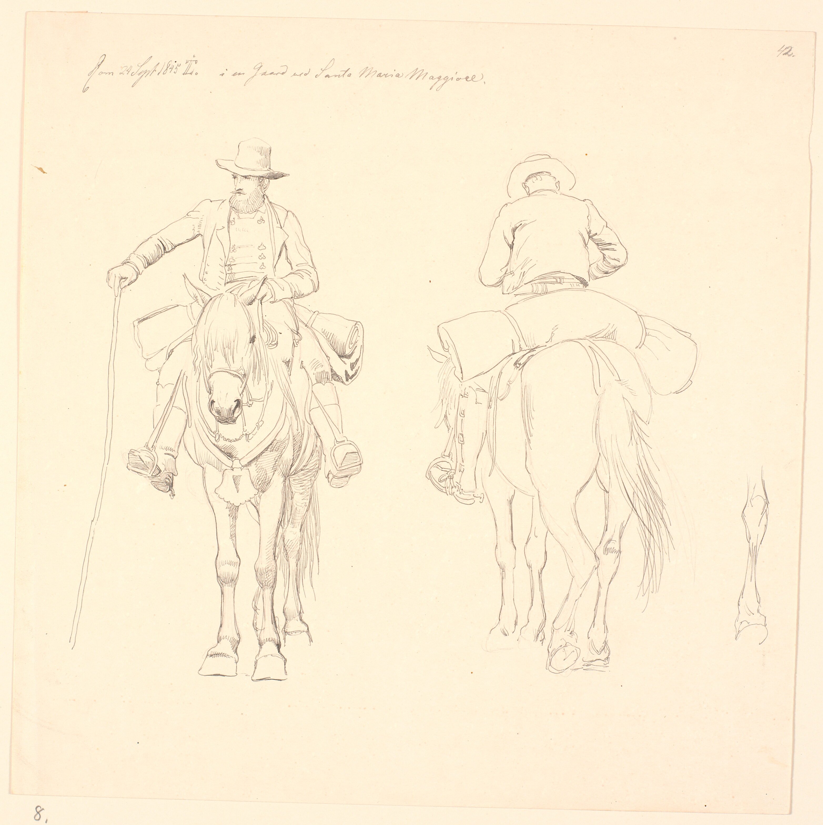 Campagnol til hest, set forfra og bagfra, samt studie af en hests bagben