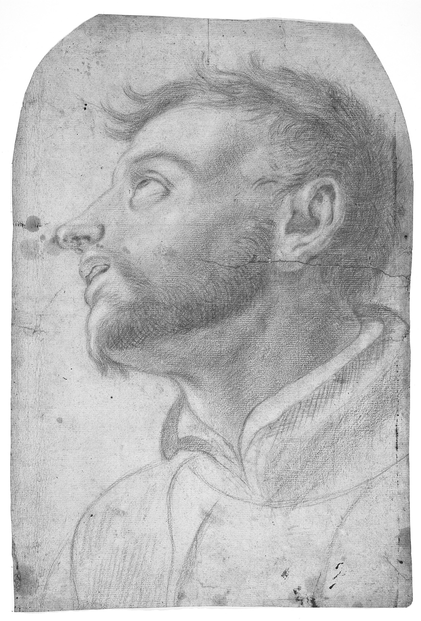 Hoved af en mand som kigger op