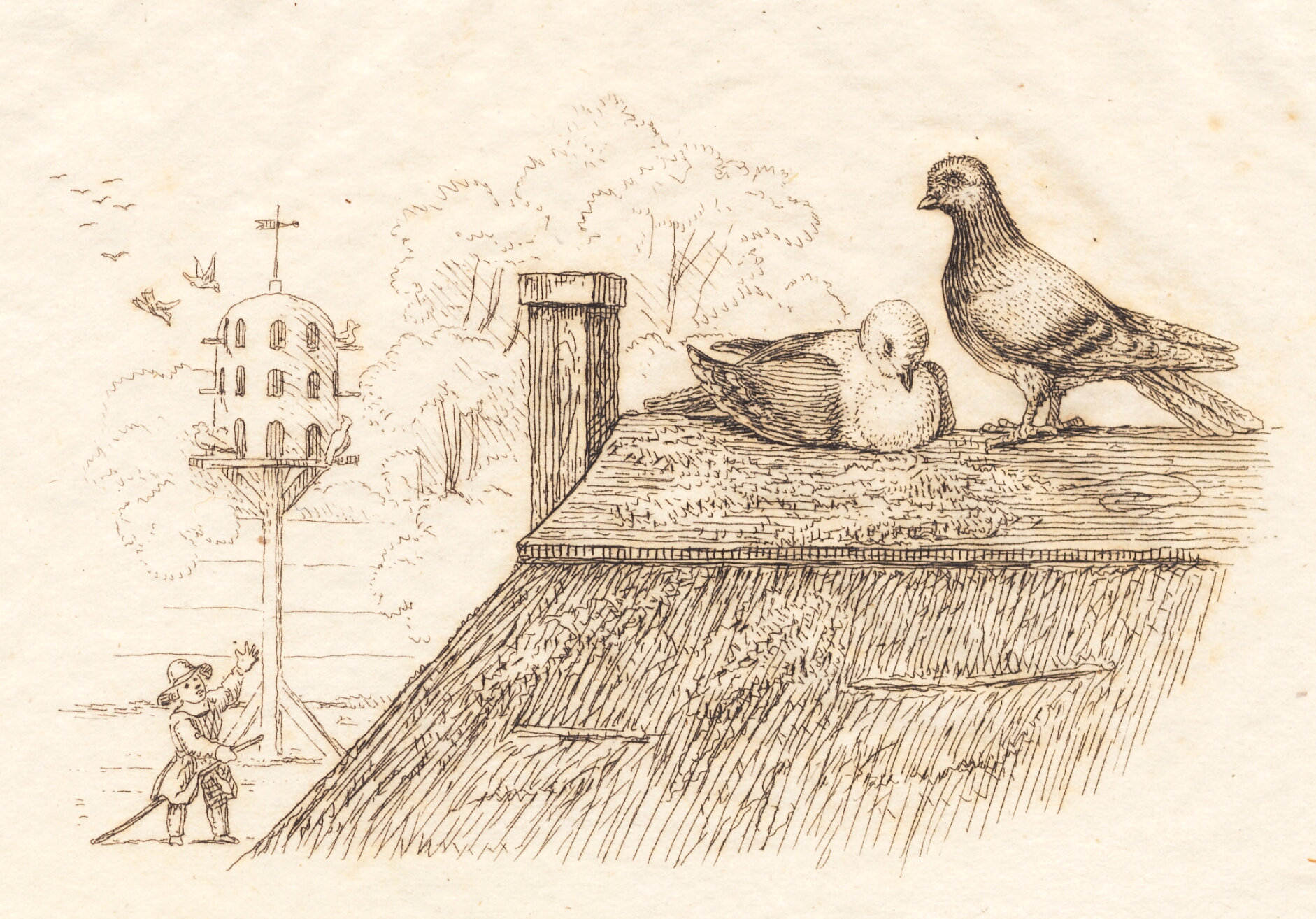 Illustration til "Halvhundrede Fabler for Børn" af Hey