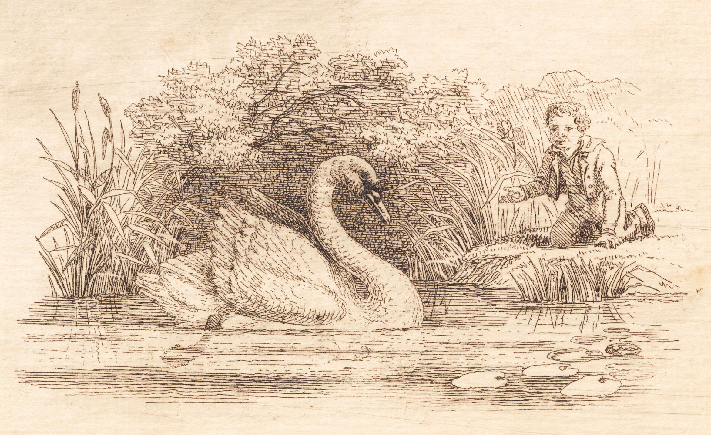 Illustration til "Halvhundrede Fabler for Børn" af Hey