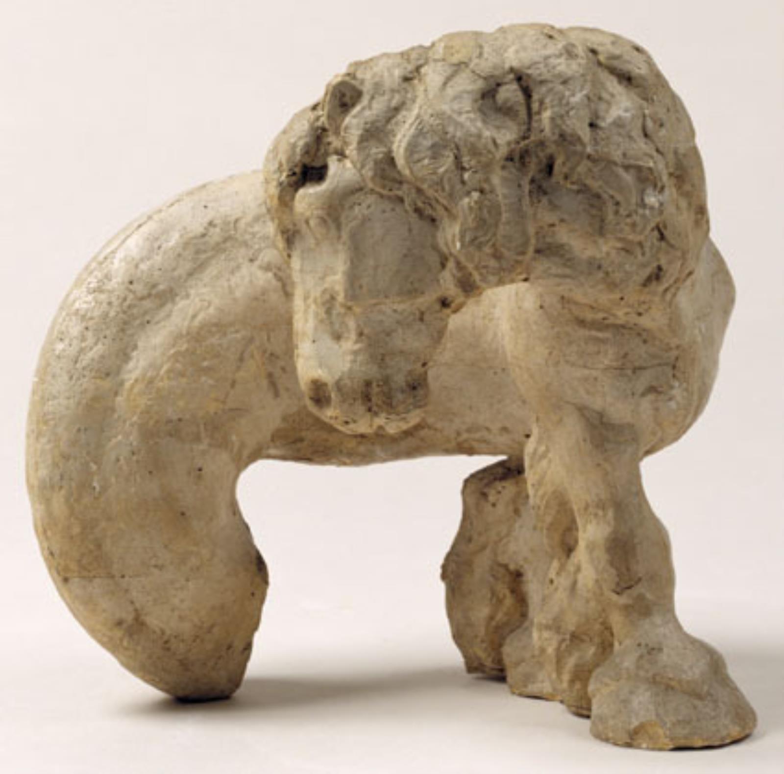 Havhesten, uden hale