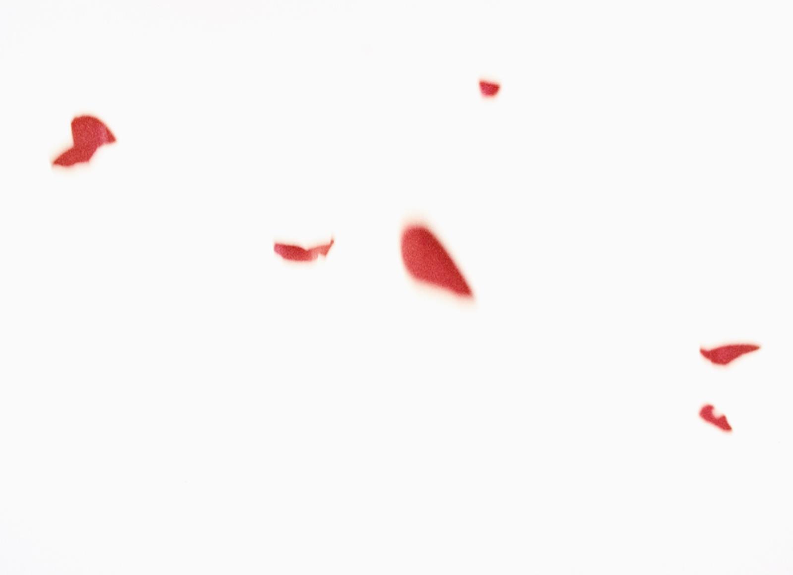 Flies of Memory, Ann Lislegaard, 1995