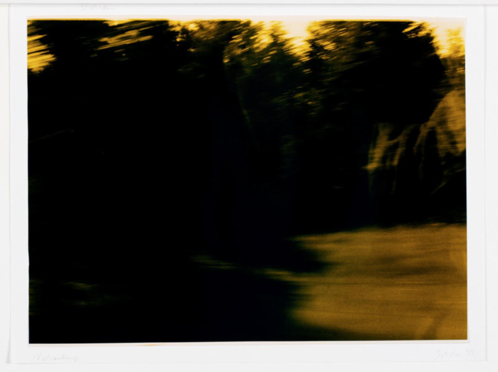 Natvandring, Jytte Rex, 1999