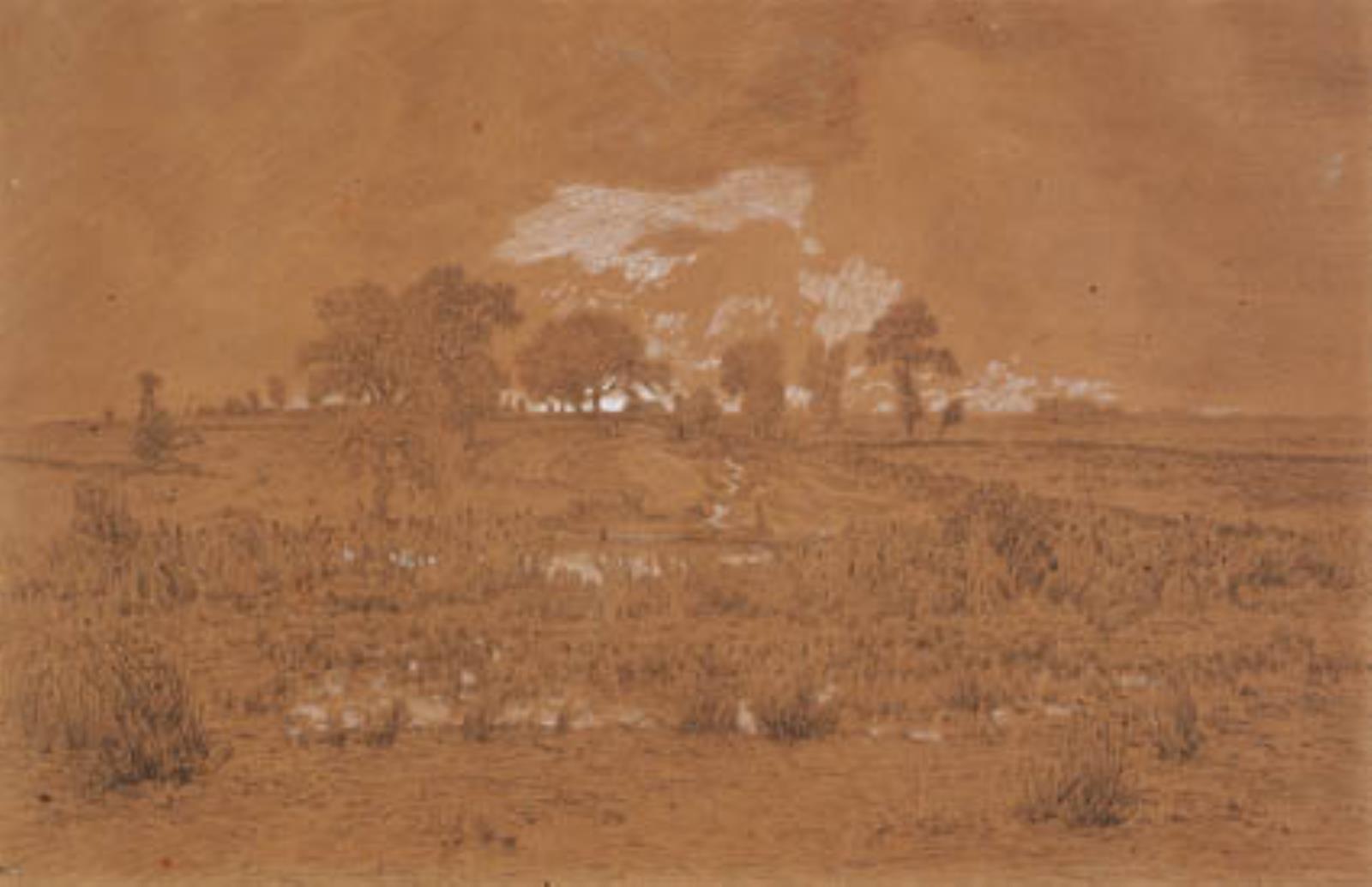 Aftenlandskab med en mose