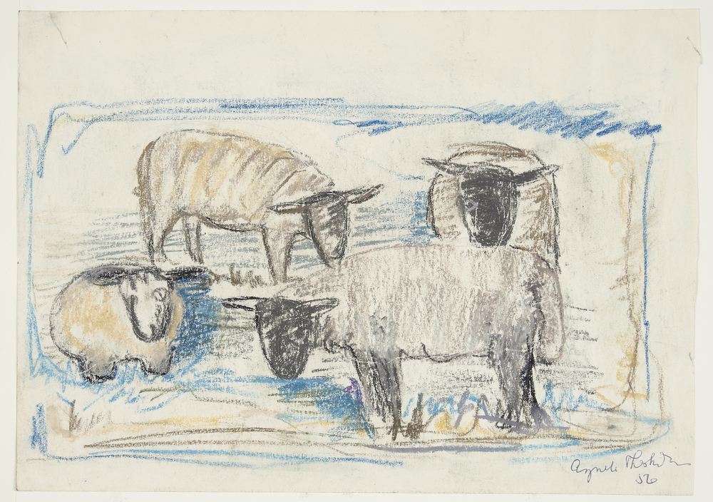Får, Agnete Therkildsen, 1956