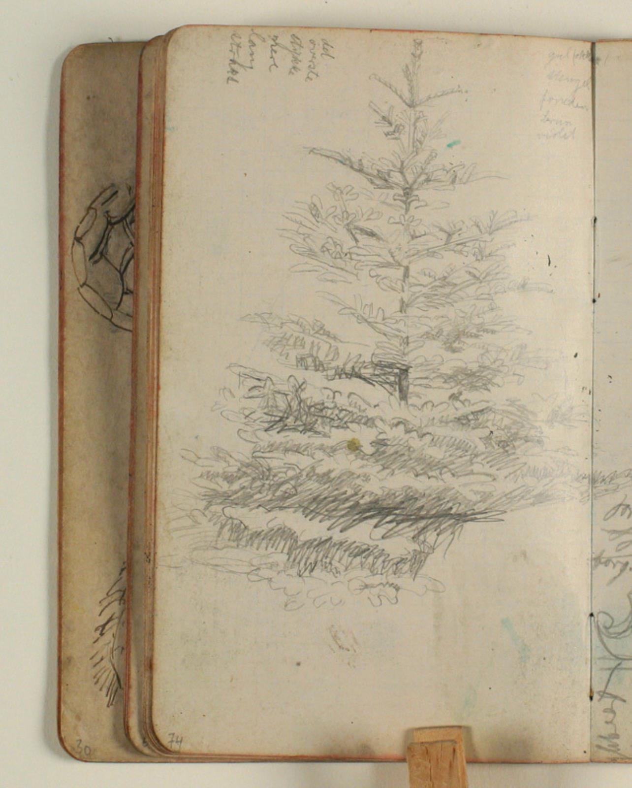 Studie af grantræ, samt notater