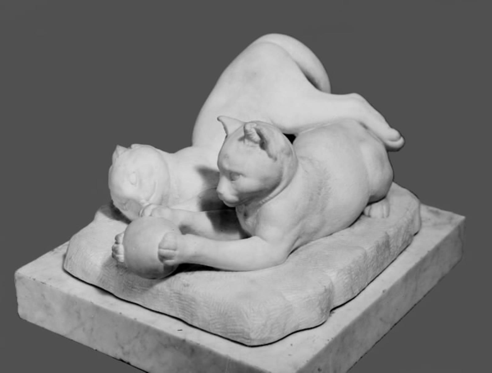 Legende kattekillinger. To killinger, der leger med en bold