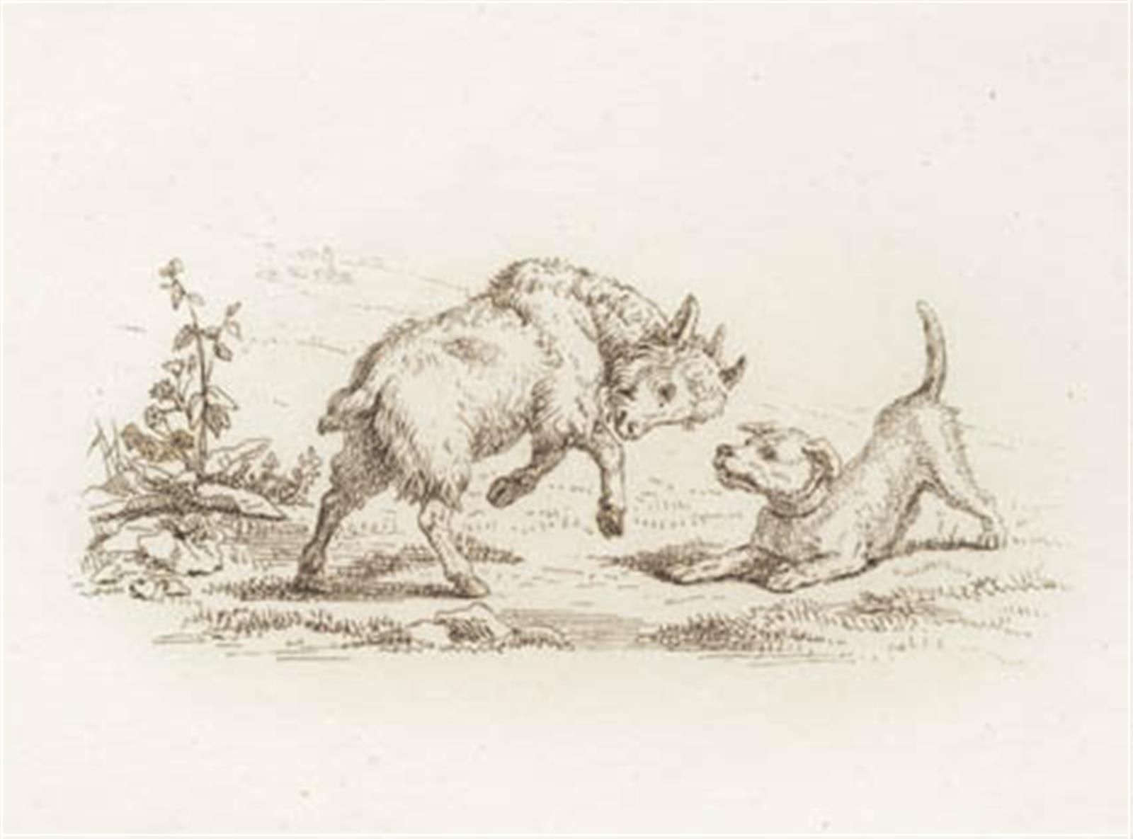 Illustration til "Halvhundrede Fabler for Børn" af Hey