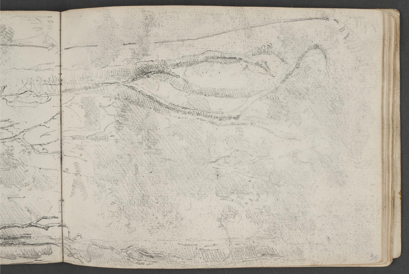 Træer i en skov. Fortsættes på blad 23