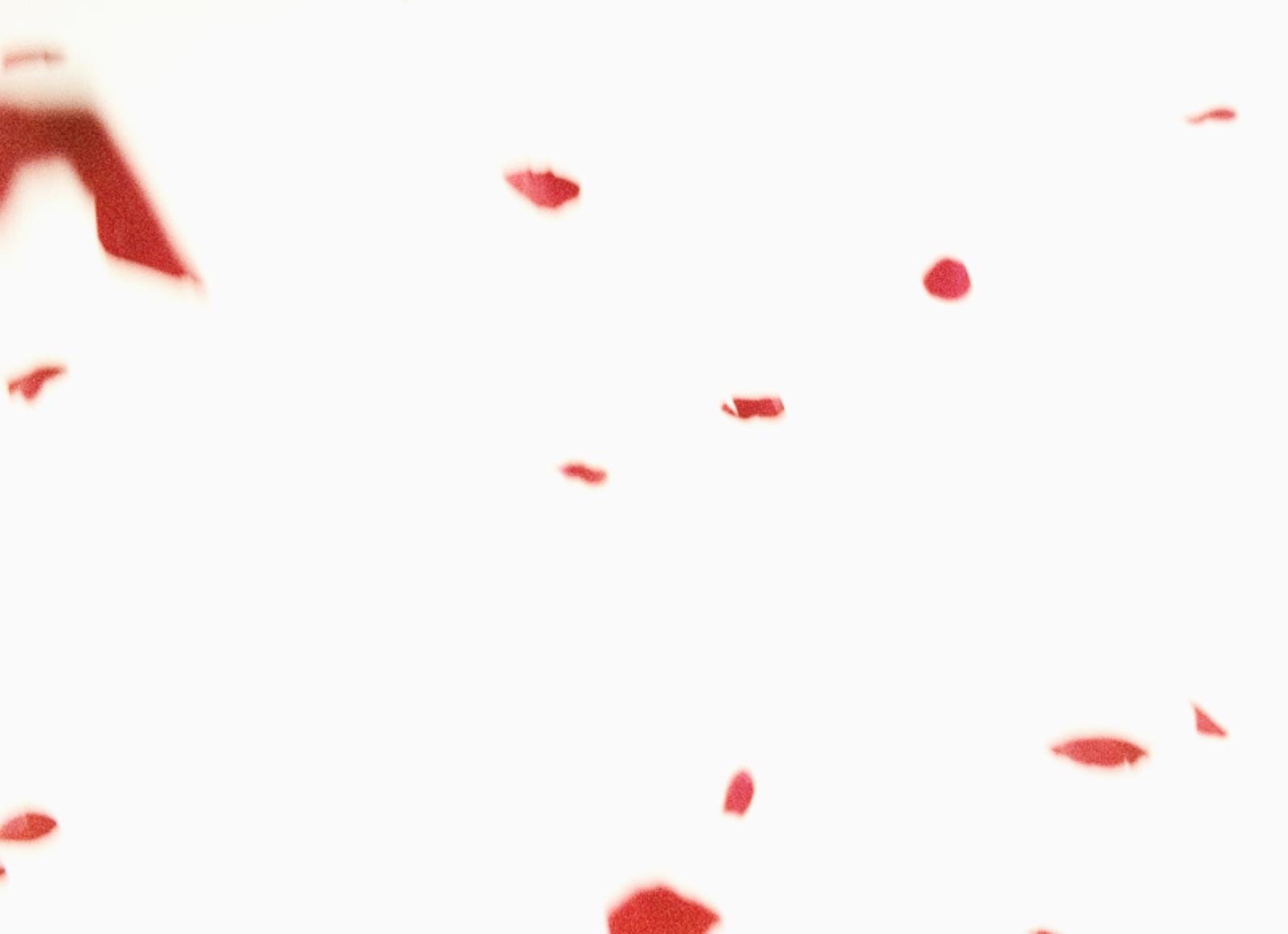 Flies of Memory, Ann Lislegaard, 1995