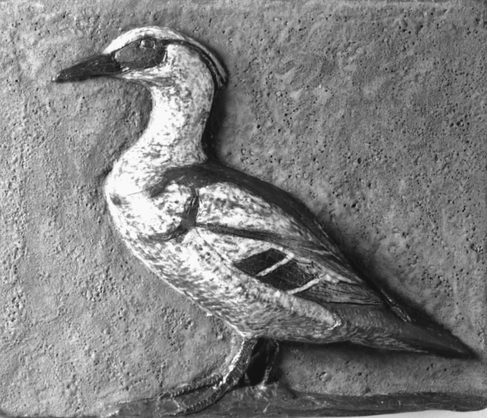 Lille skallesluger, Ulf Rasmussen, 1928-1990