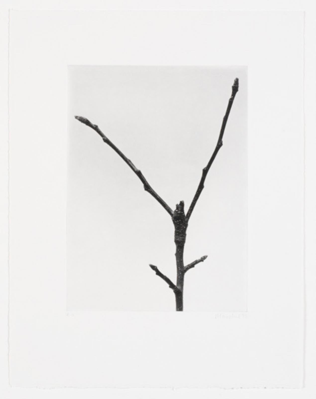 Landschaft mit Frauenfigur, Rosemarie Trockel, 1993