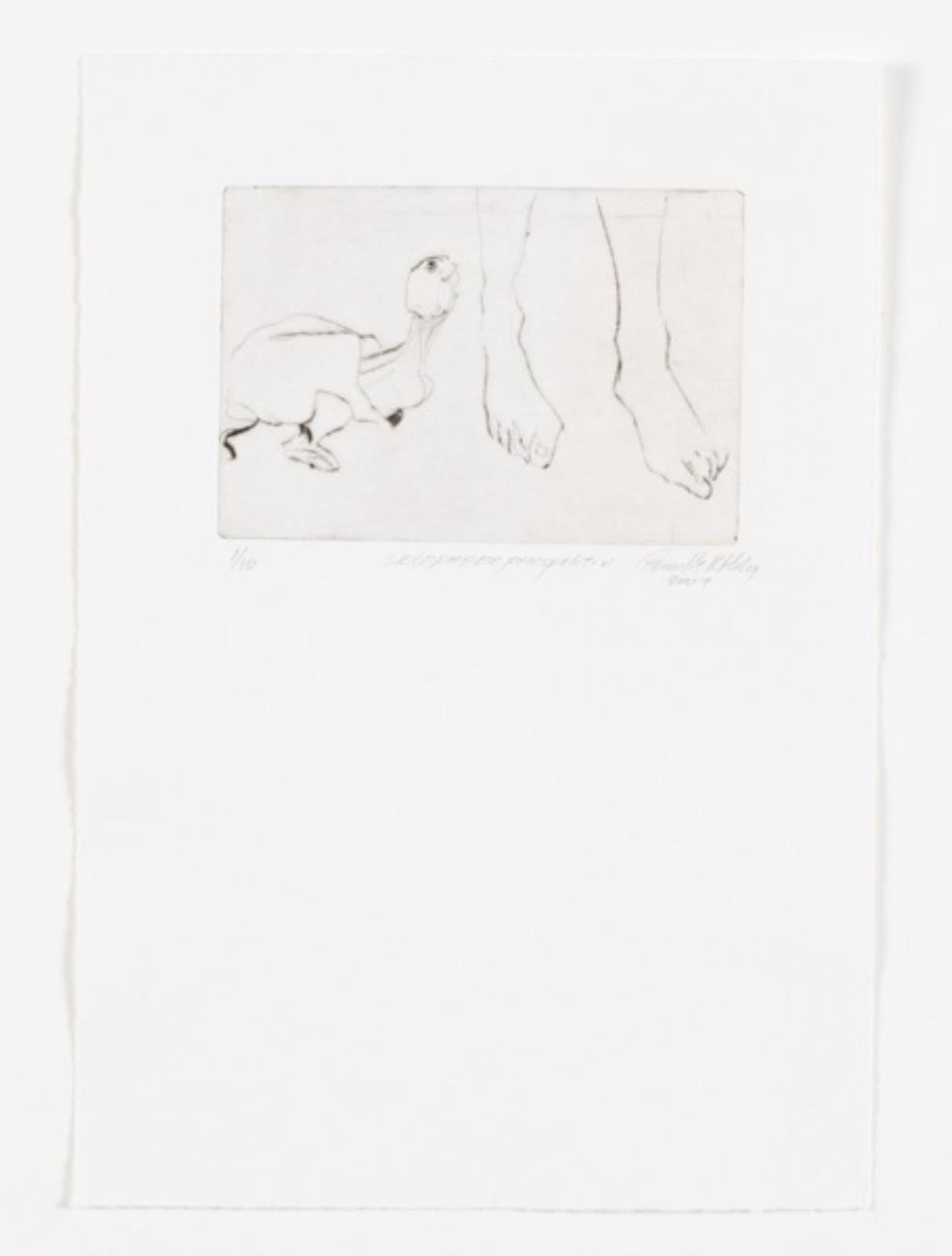 Skildpaddeperspektiv, Pernille Kløvedal Helweg, 2000-2001