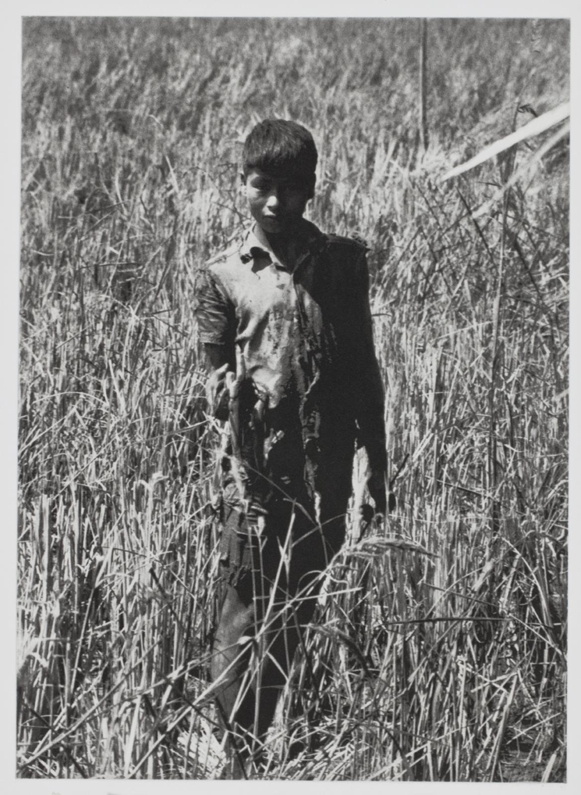"Archive of Dr. Joseph M. Carrier 1962-1973", Danh Vo, 2010