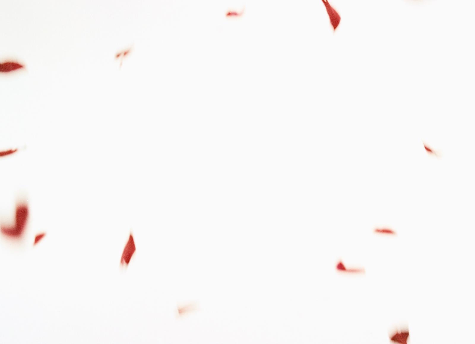 Flies of Memory, Ann Lislegaard, 1995