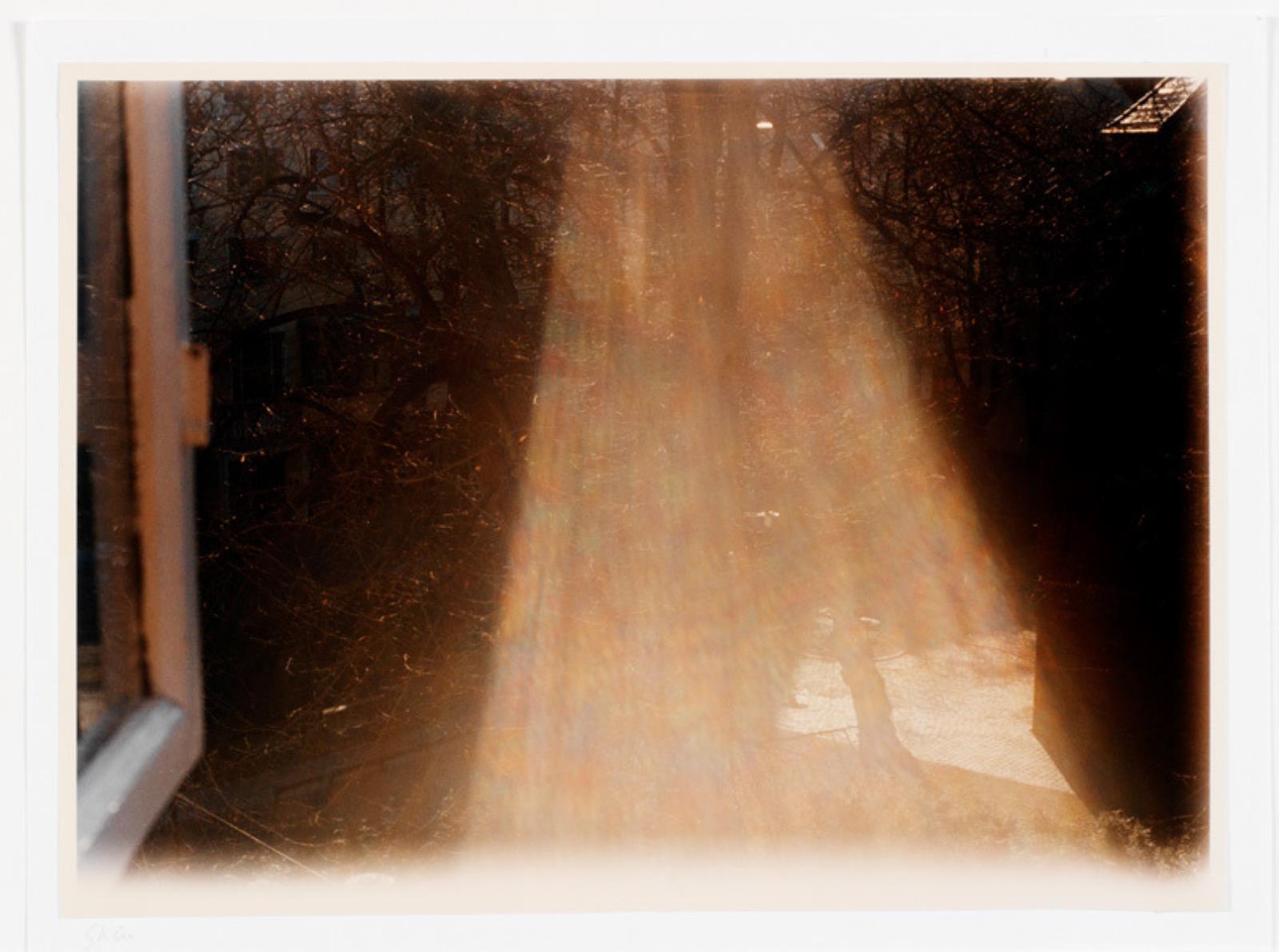 Skin, Jytte Rex, 1999