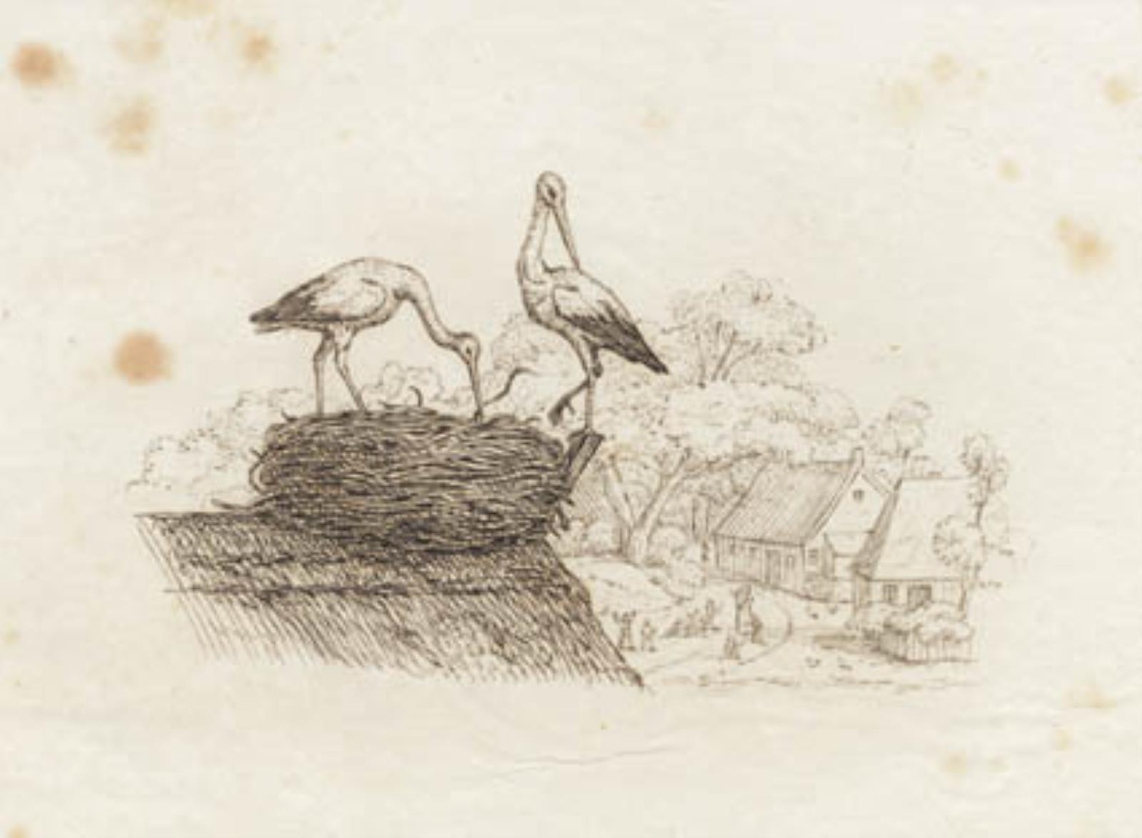 Illustration til "Halvhundrede Fabler for Børn" af Hey