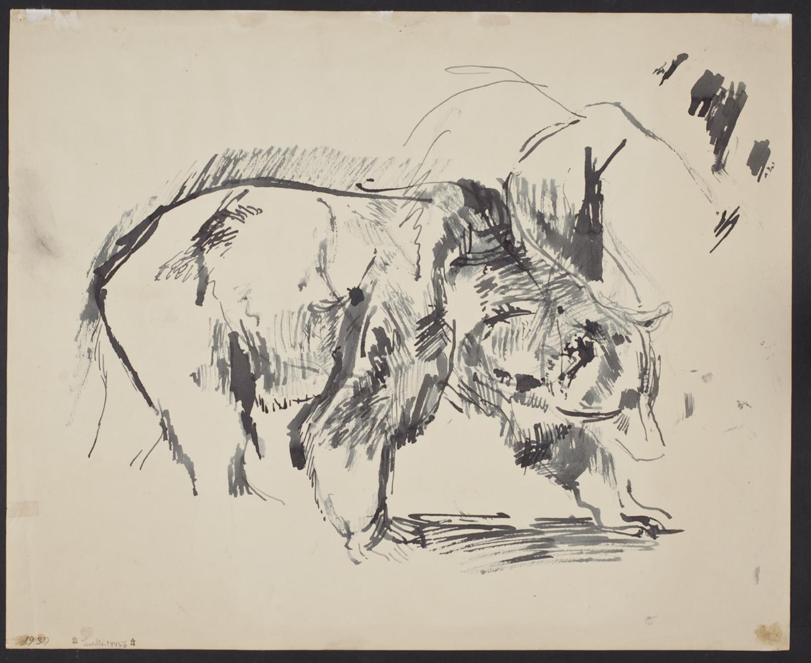 Gående bjørn, Mogens Bøggild, 1937