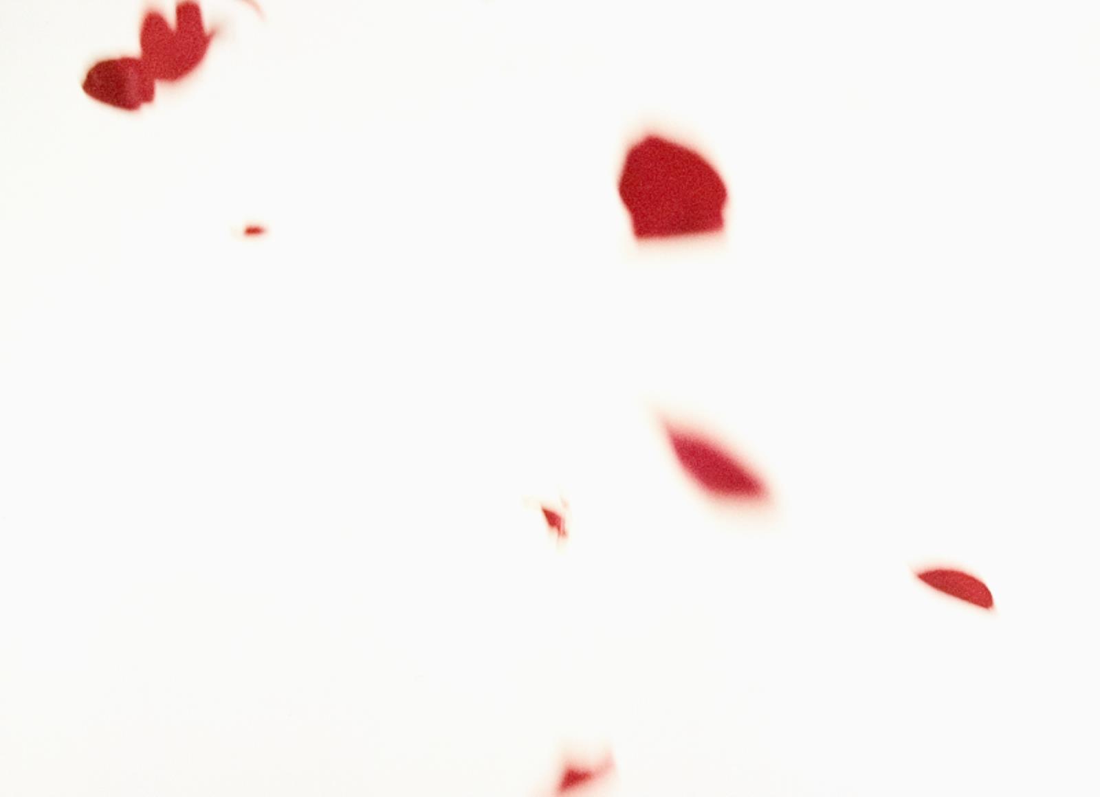 Flies of Memory, Ann Lislegaard, 1995
