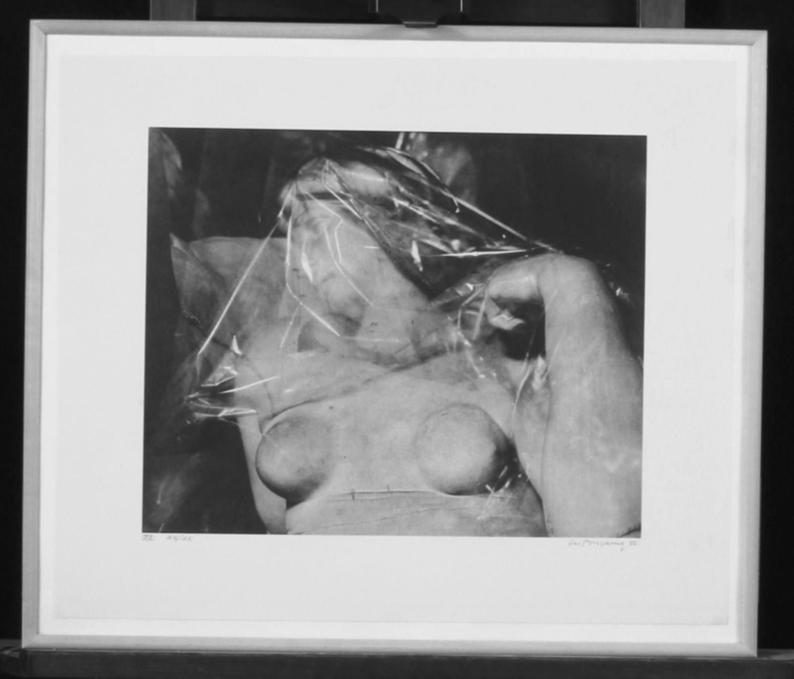 Morgenen af Michelangelo (udsnit), Eli Ponsaing, 1985