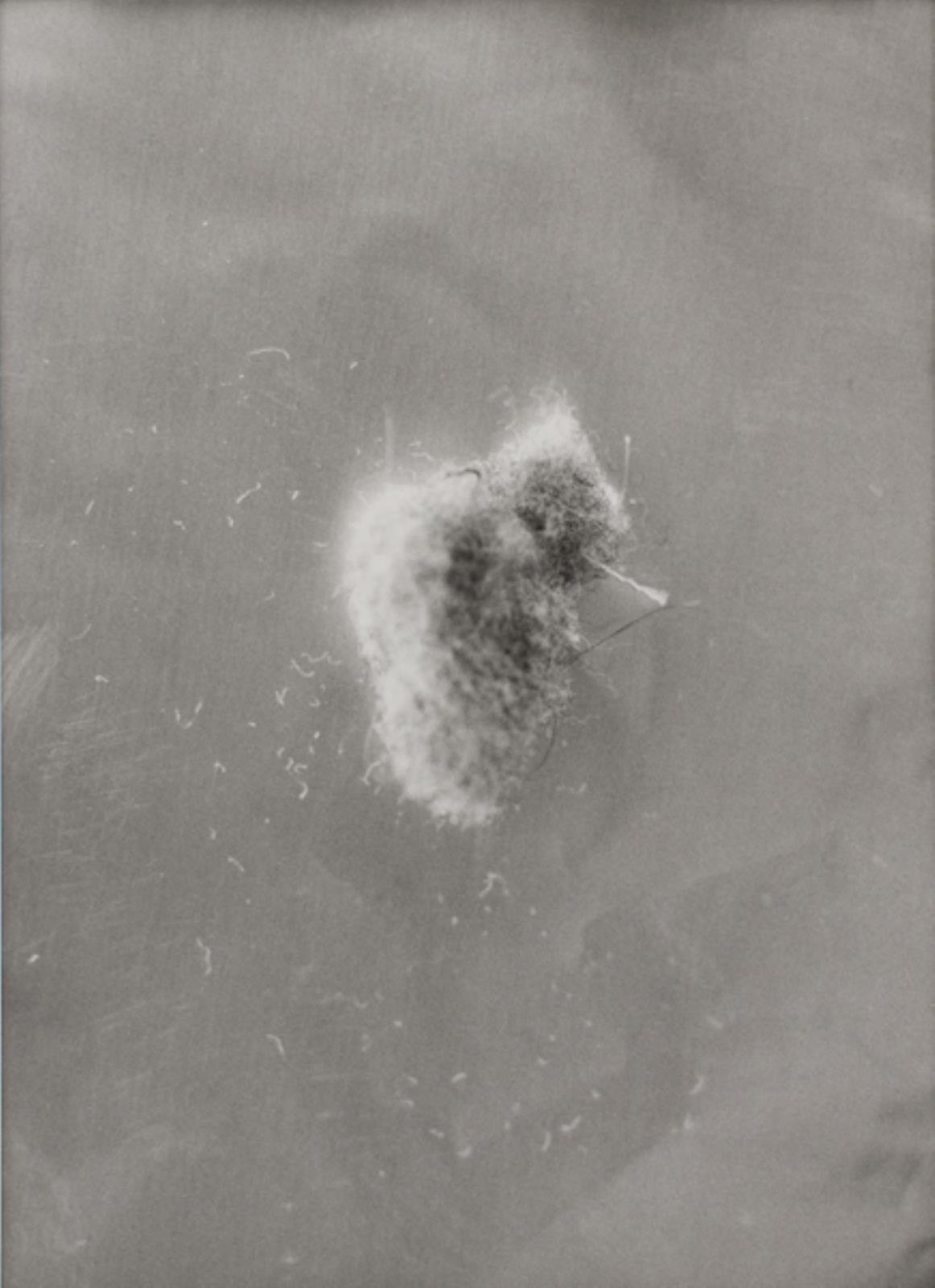 Uden titel, Mike Kelley, 1994