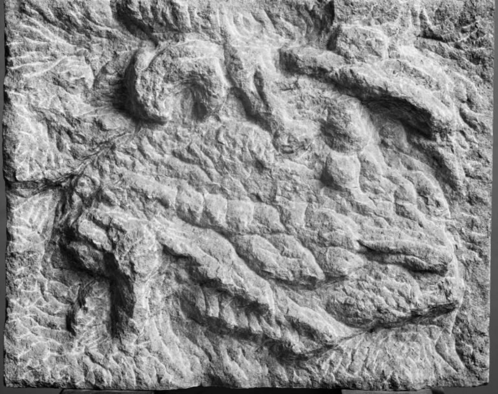 Relief, Ib Braase, 1961