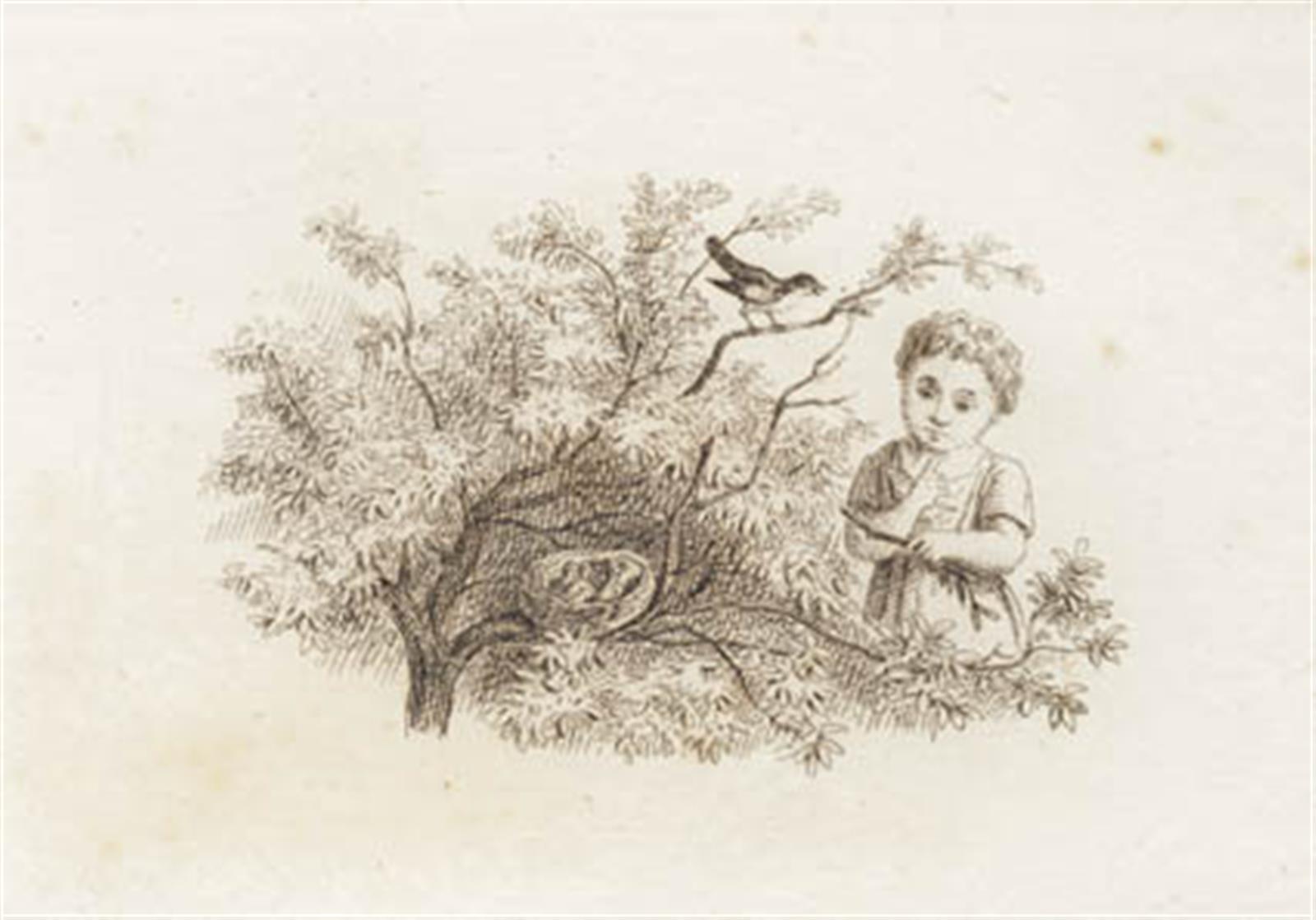 Illustration til "Halvhundrede Fabler for Børn" af Hey