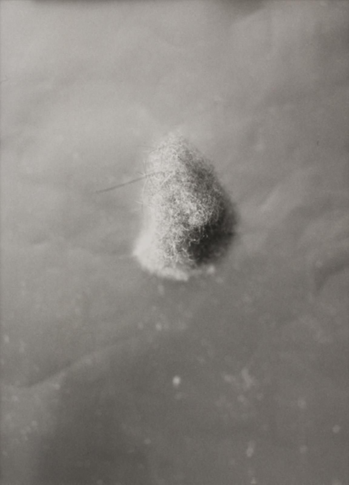 Uden titel, Mike Kelley, 1994
