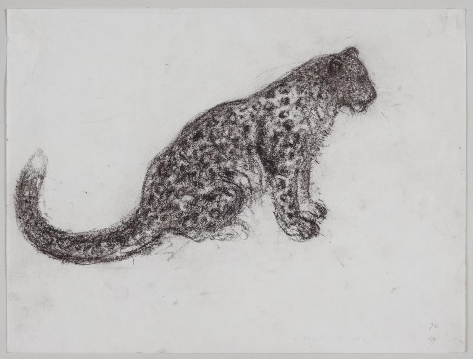 Sneleopard, John Olsen, 1993