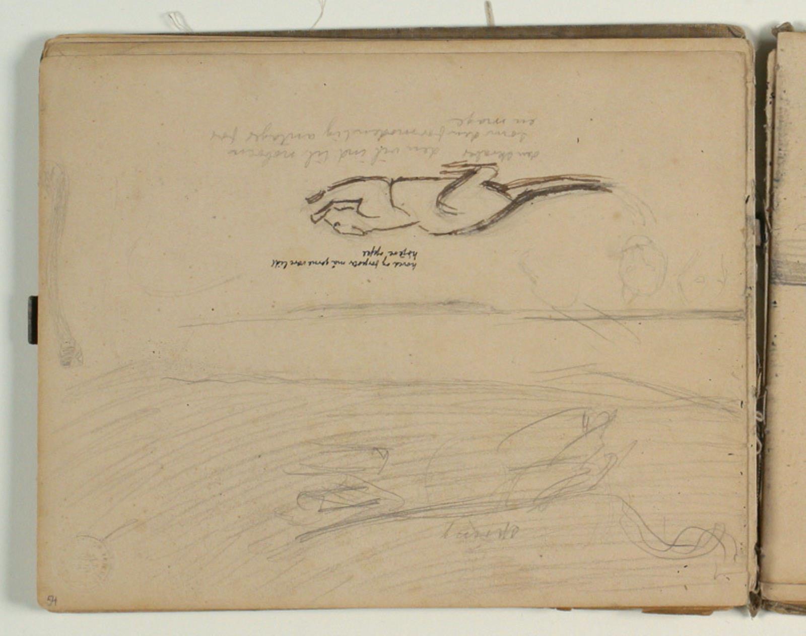 Skitser af tiger. Notat. Herunder landskabsskitse