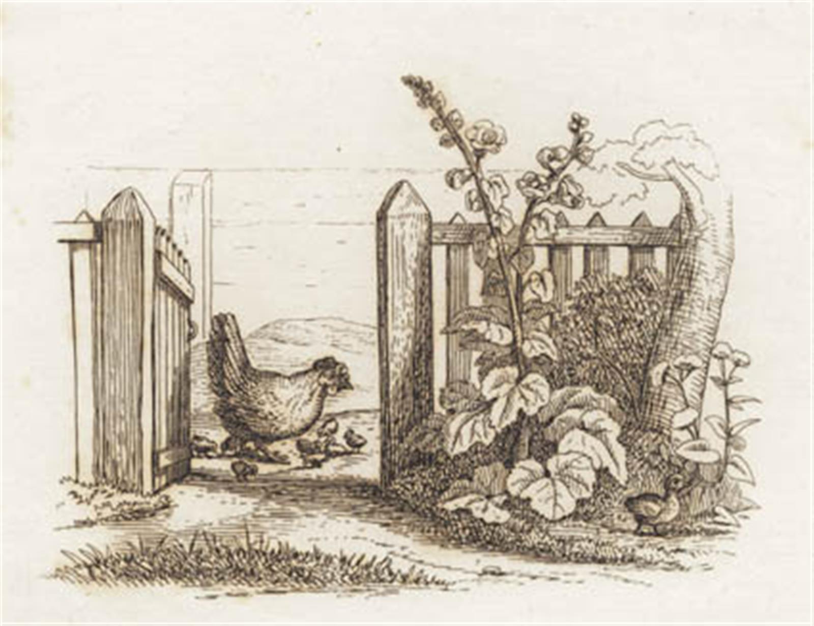 Illustration til "Halvhundrede Fabler for Børn" af Hey